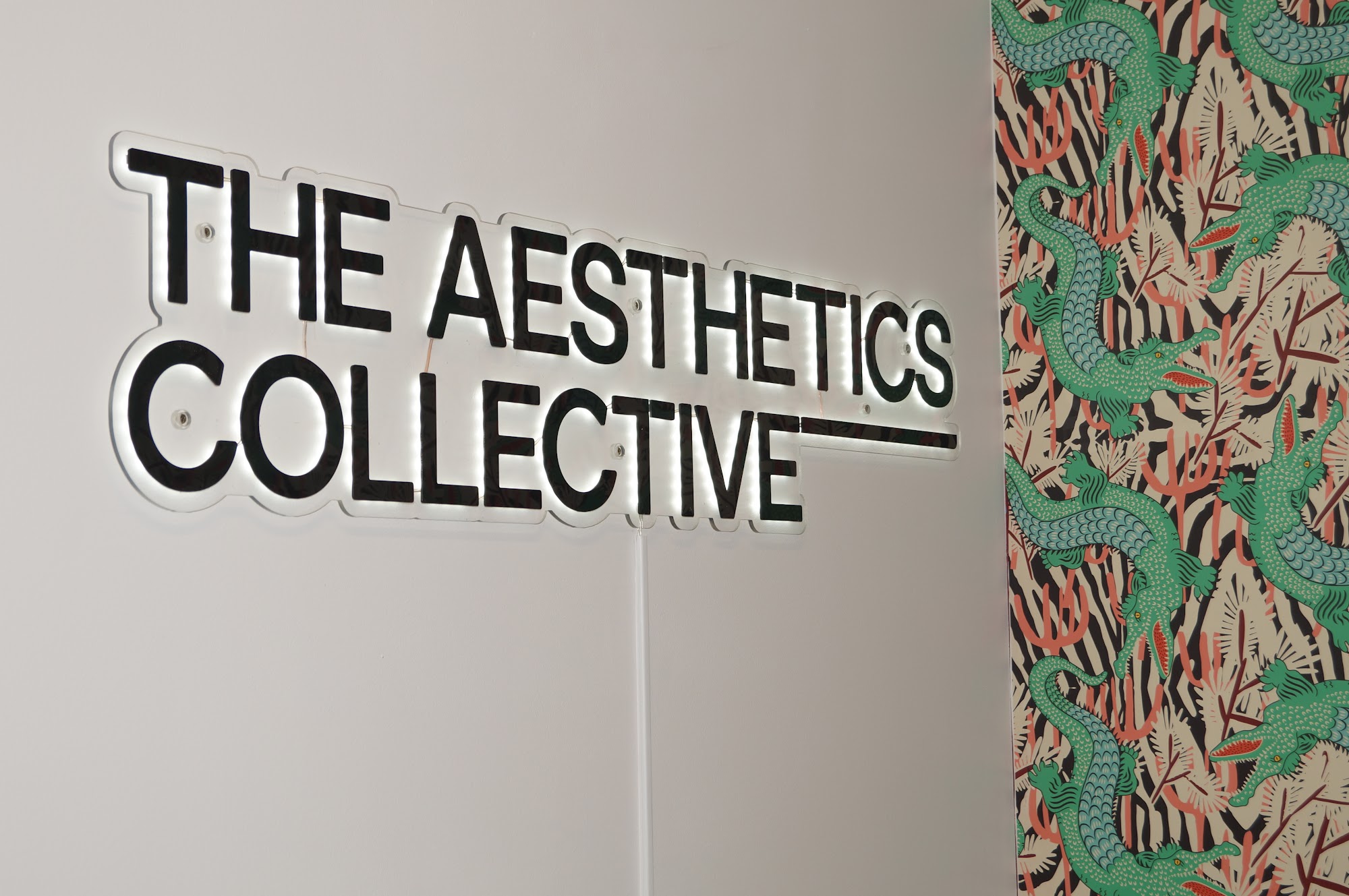 The Aesthetics Collective 970B Milwaukee Ave Suite 4, Lincolnshire Illinois 60069