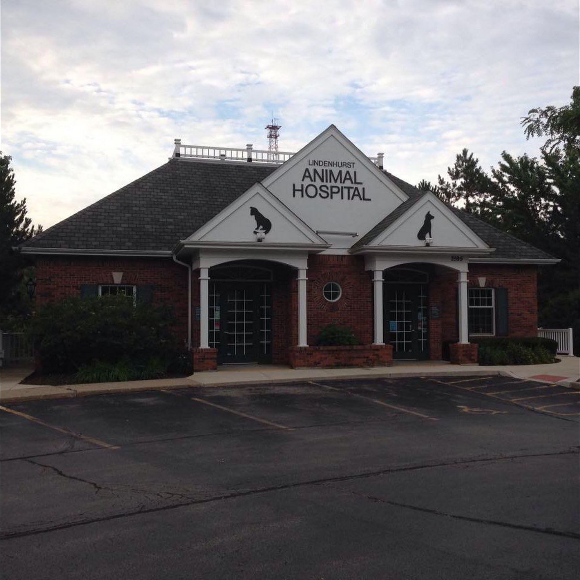 Lindenhurst Animal Hospital Lindenhurst