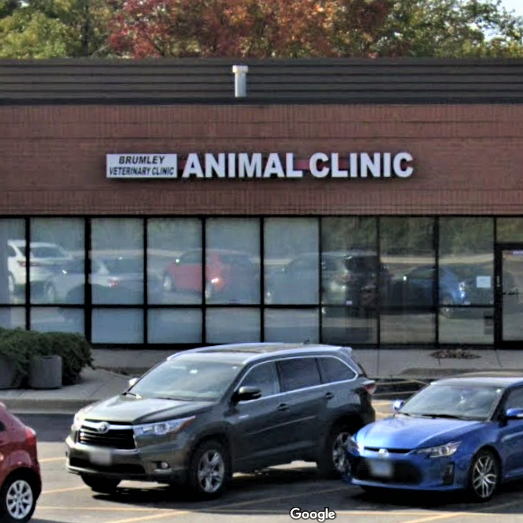 Brumley Veterinary Clinic PC Lisle