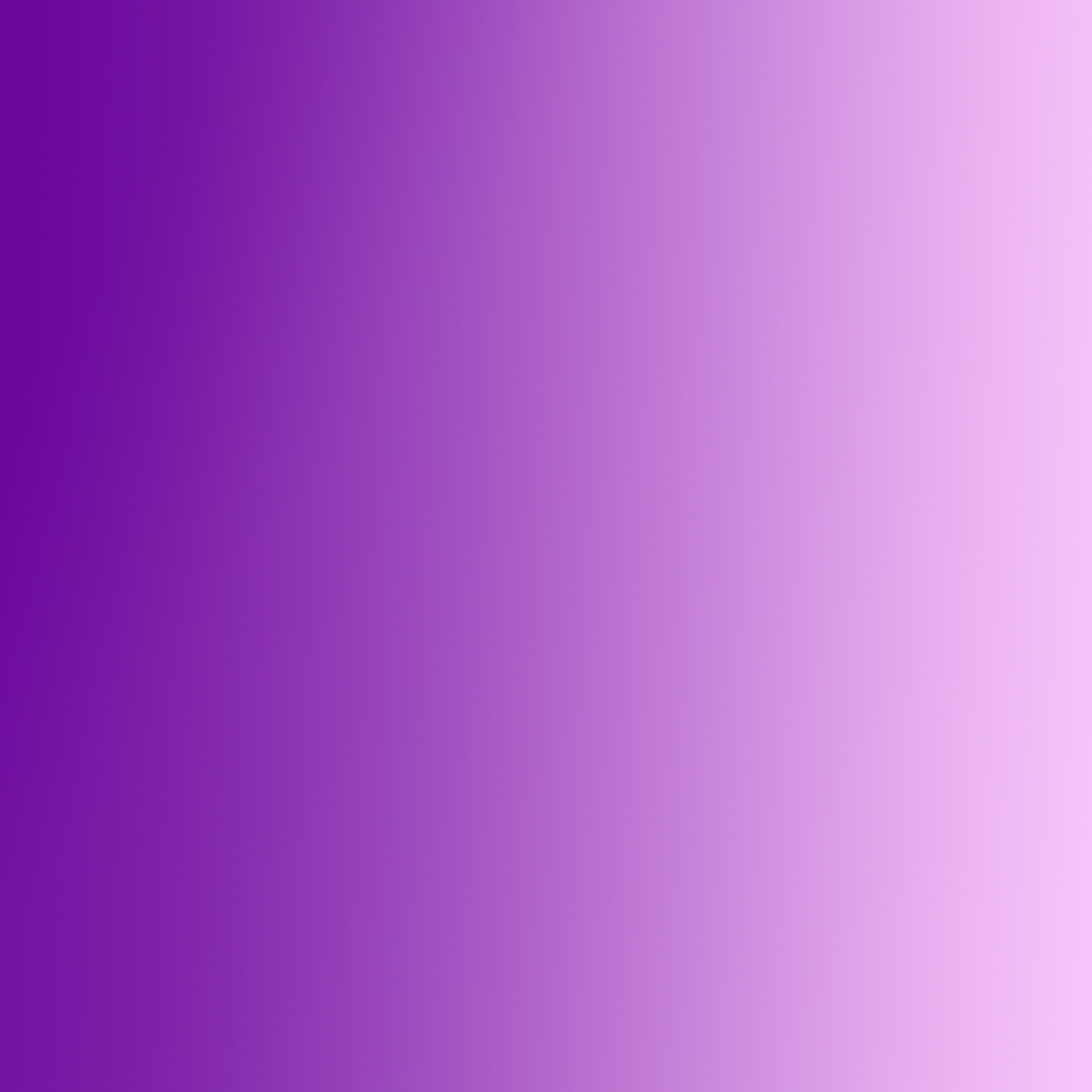 K-9 & Cat Salon Litchfield