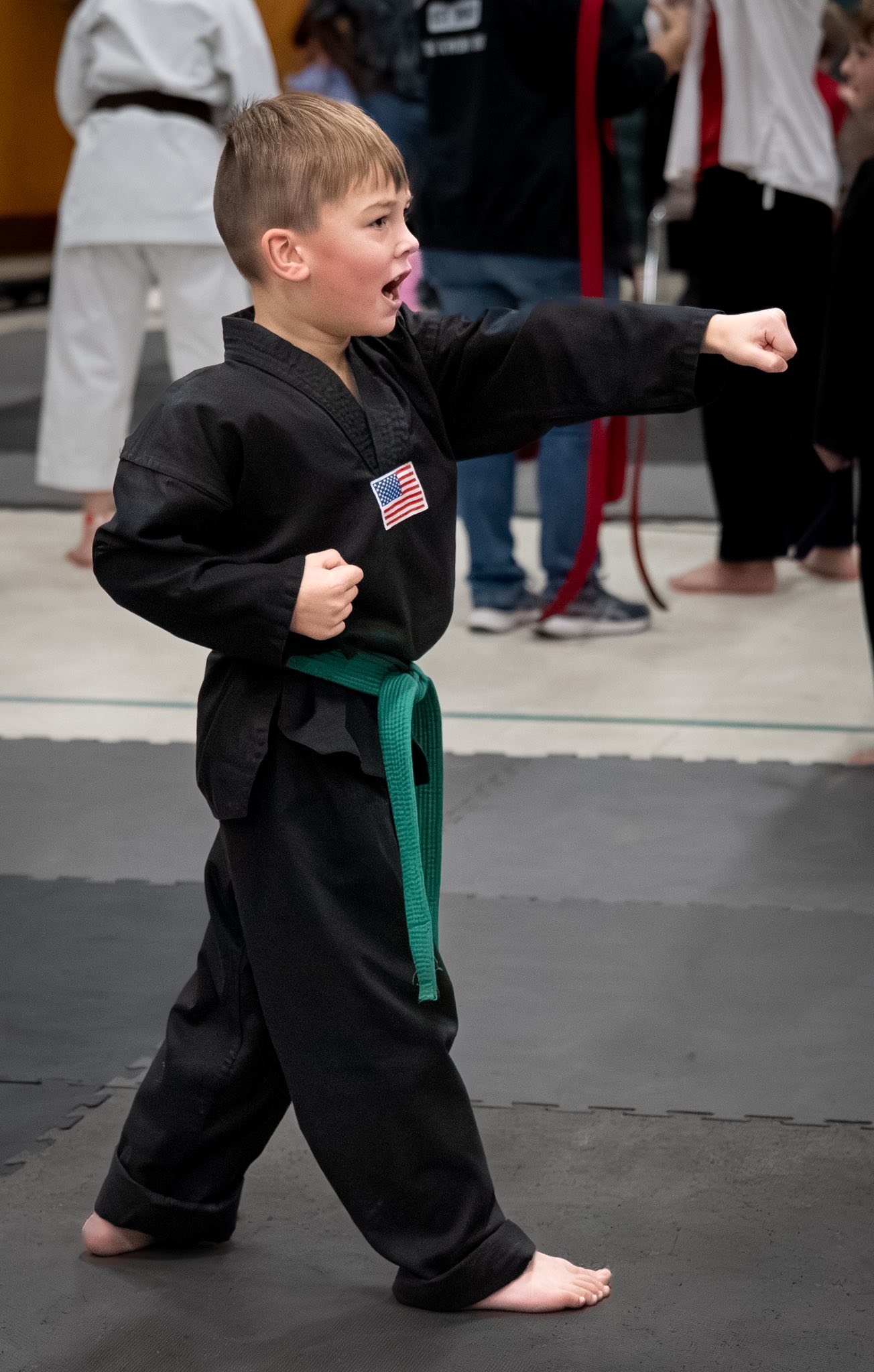 Martial Arts Taekwondo