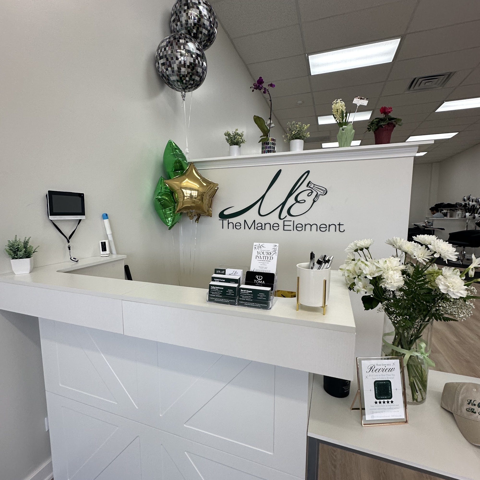 The Mane Element Salon