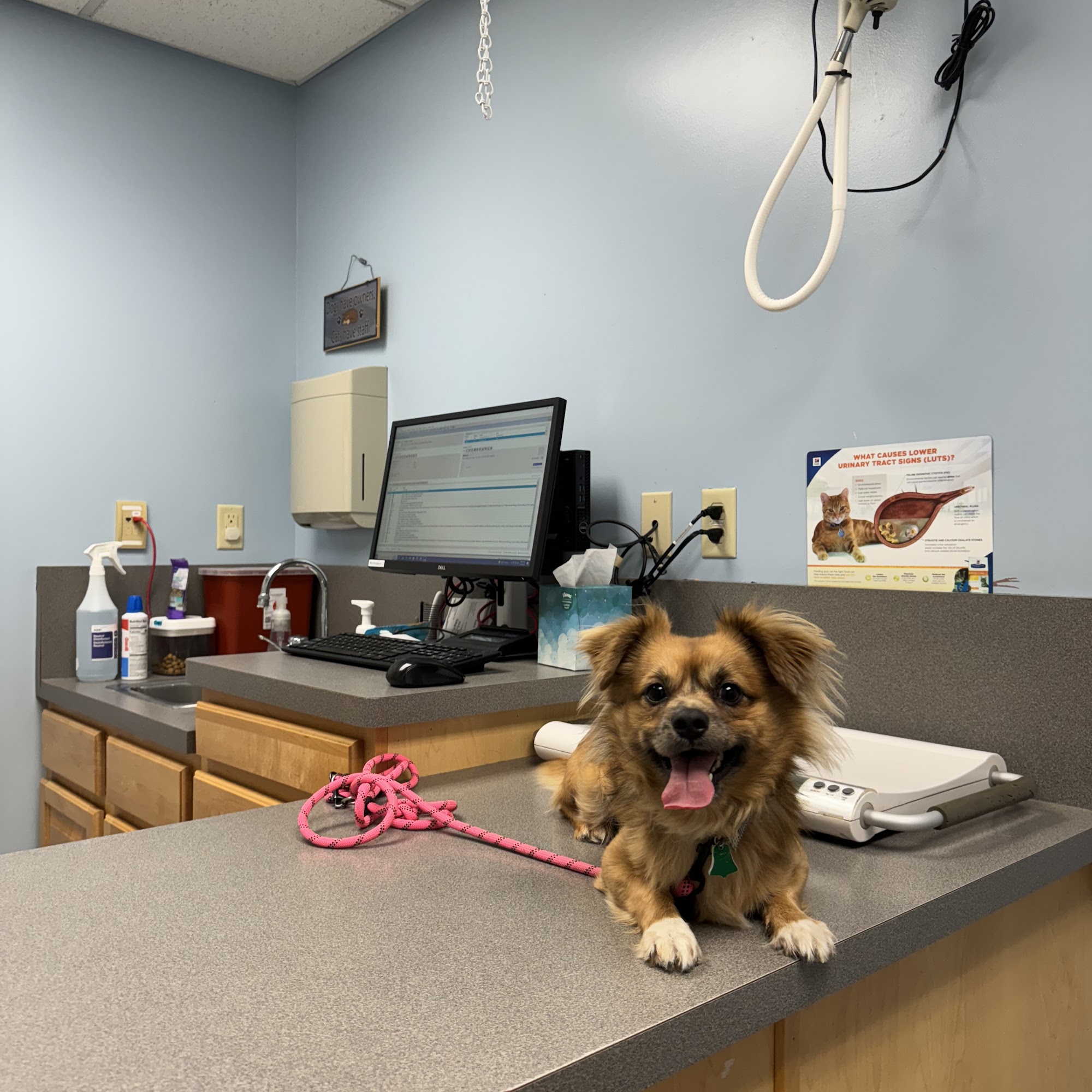 Willow Ridge Animal Hospital Loves Park