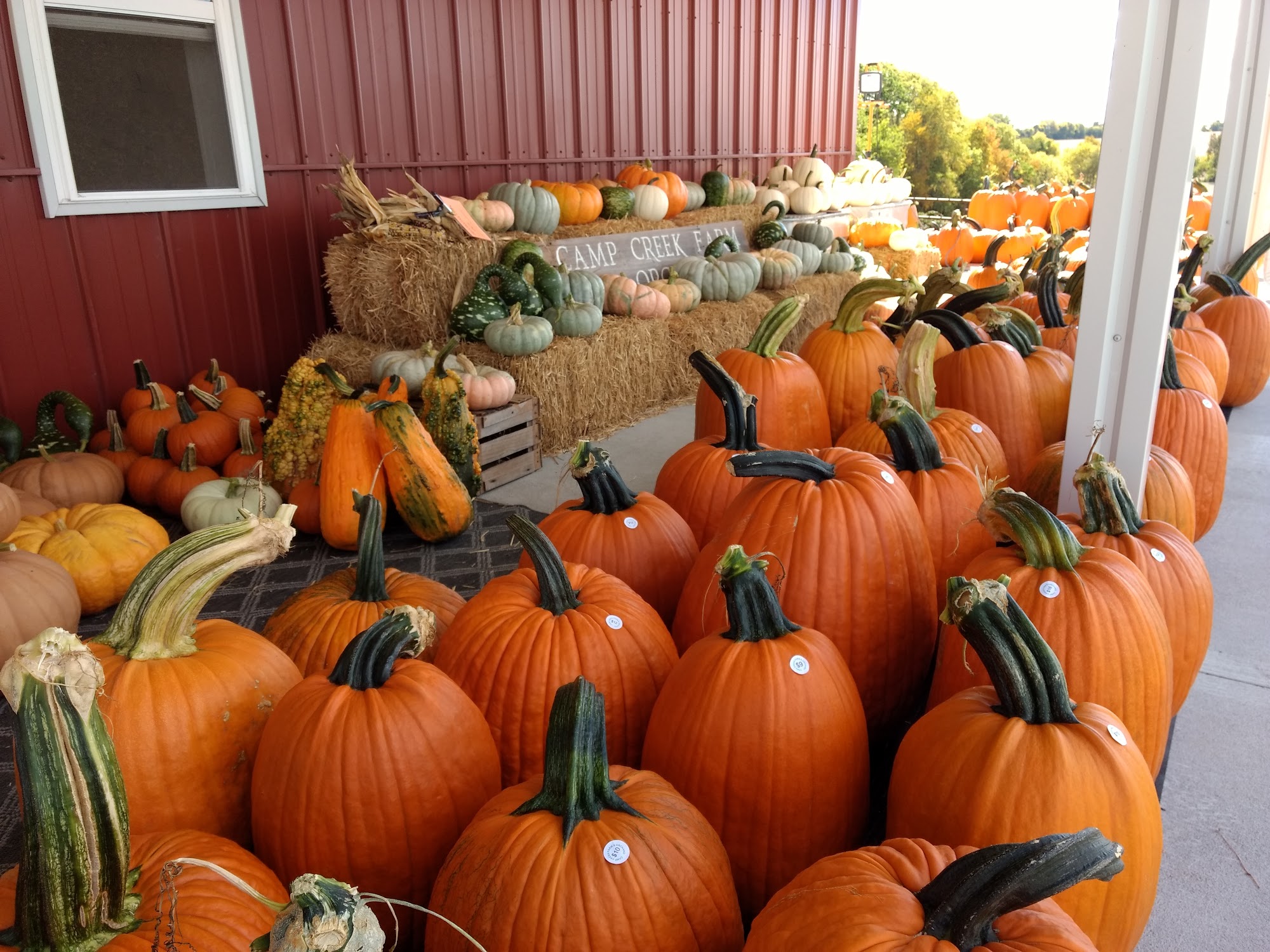 Camp Creek Farm & Orchard Menu