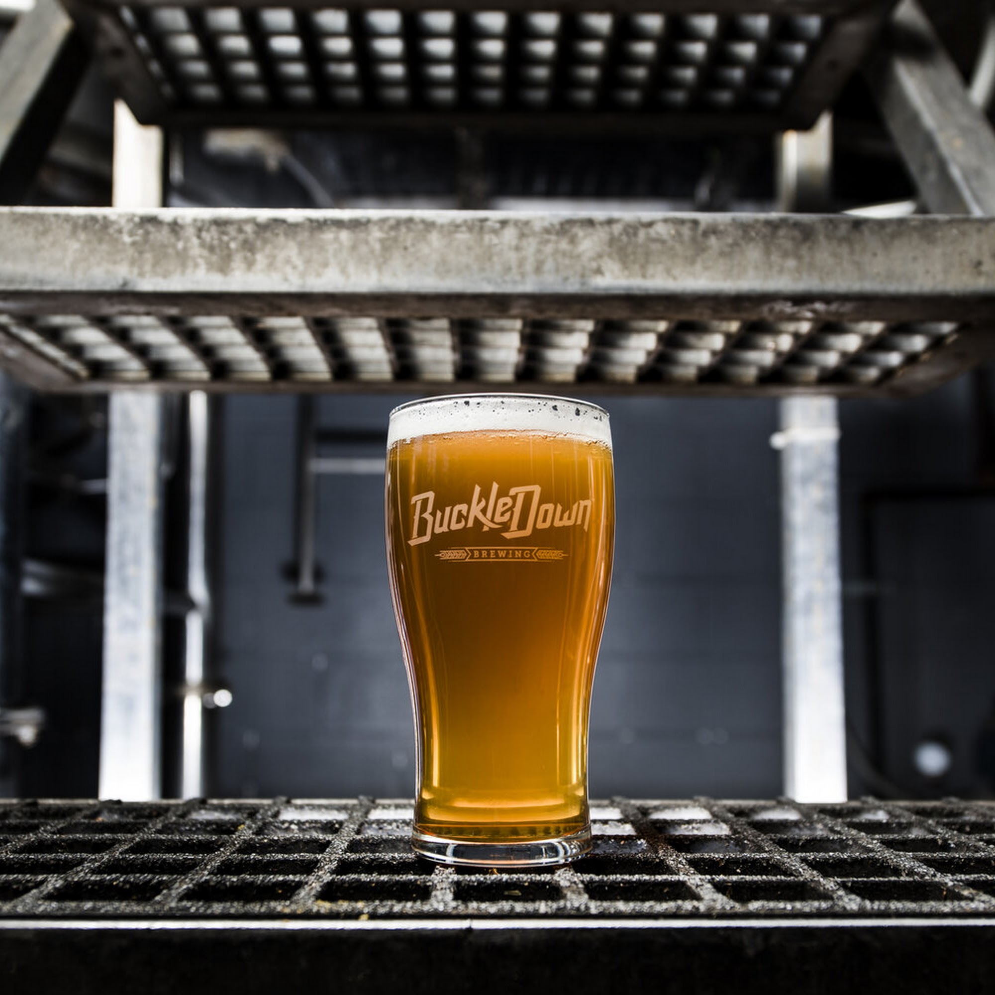 BuckleDown Brewing Lyons