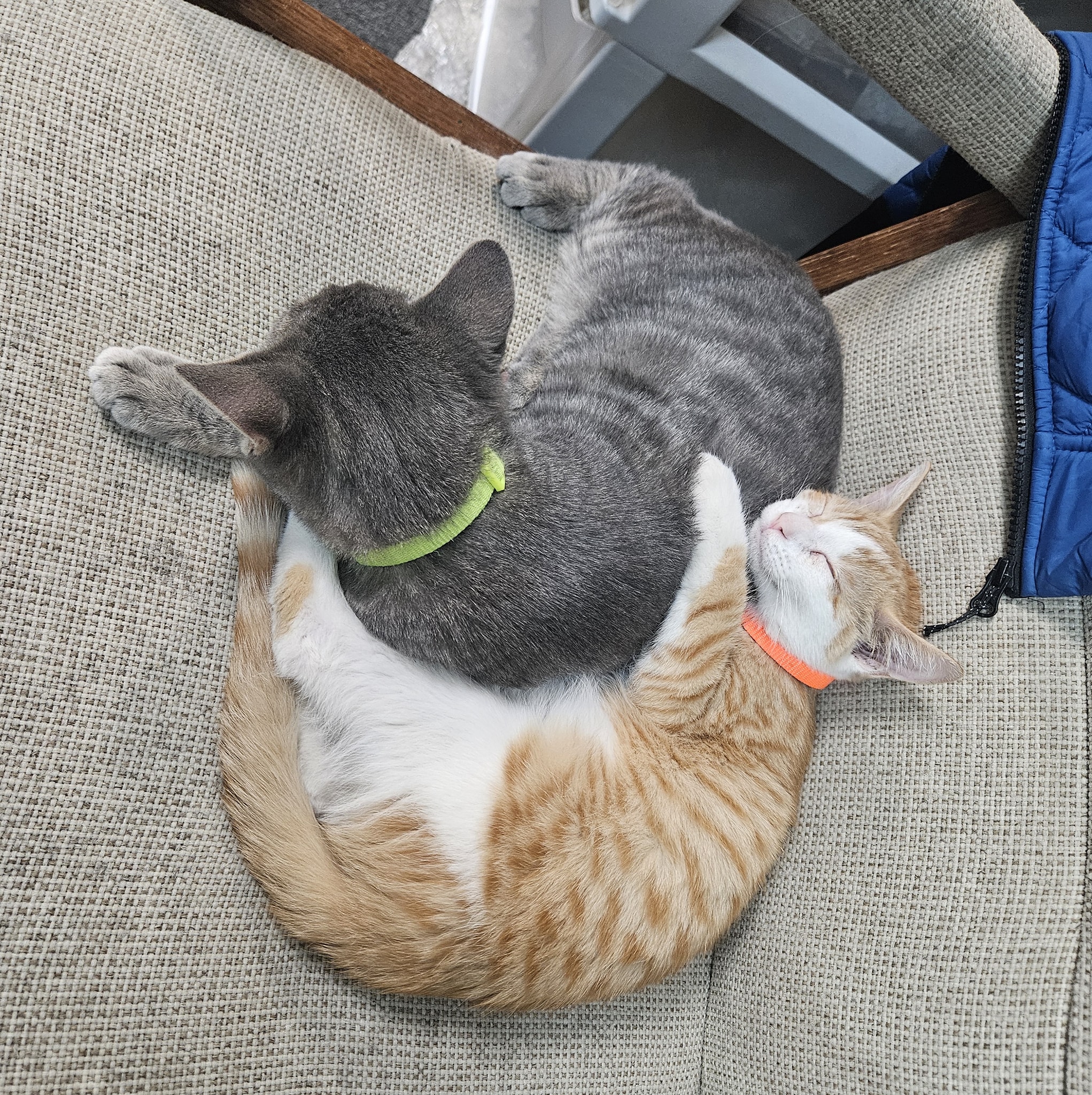 The Crafty Coop, LLC Macomb