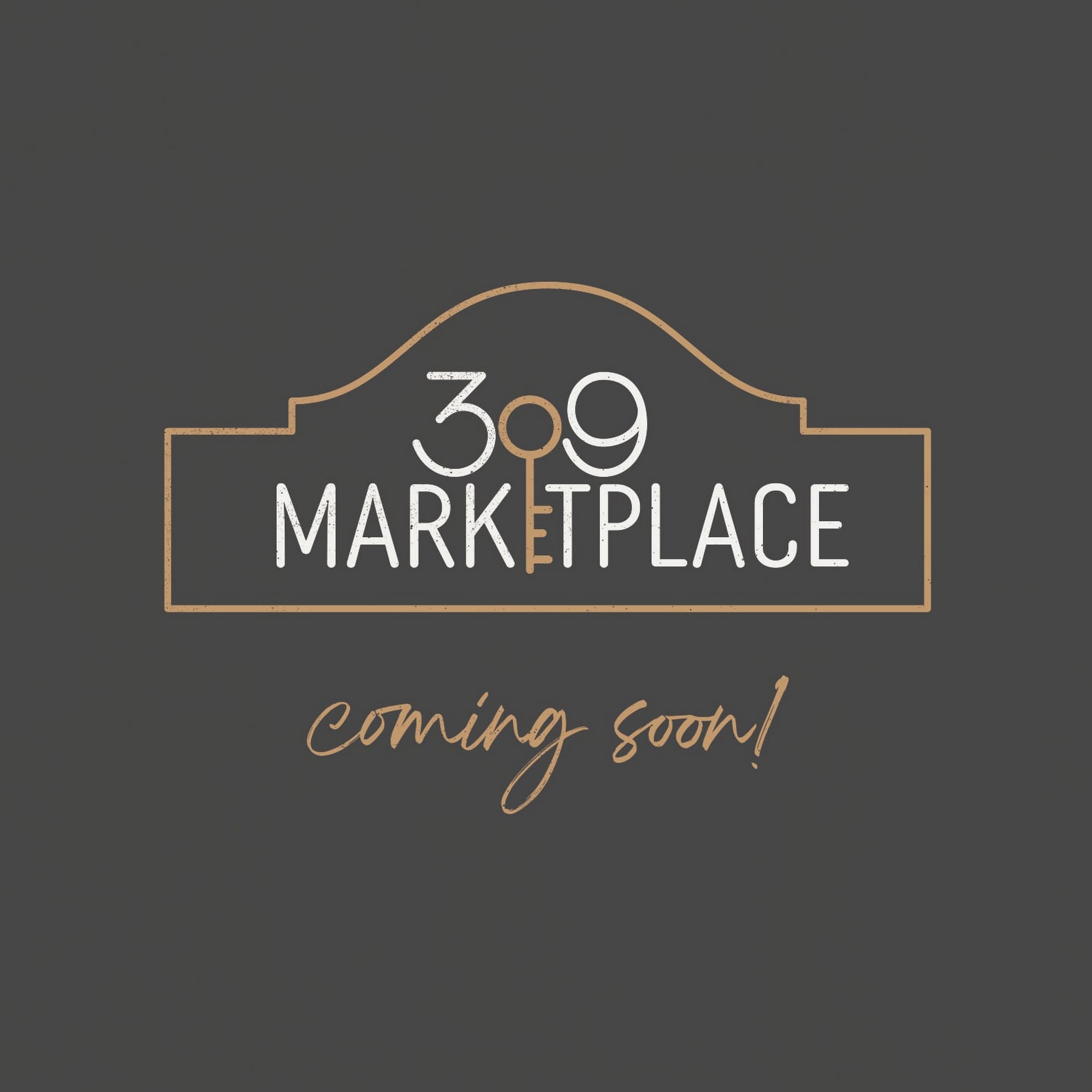 309 Marketplace Macomb