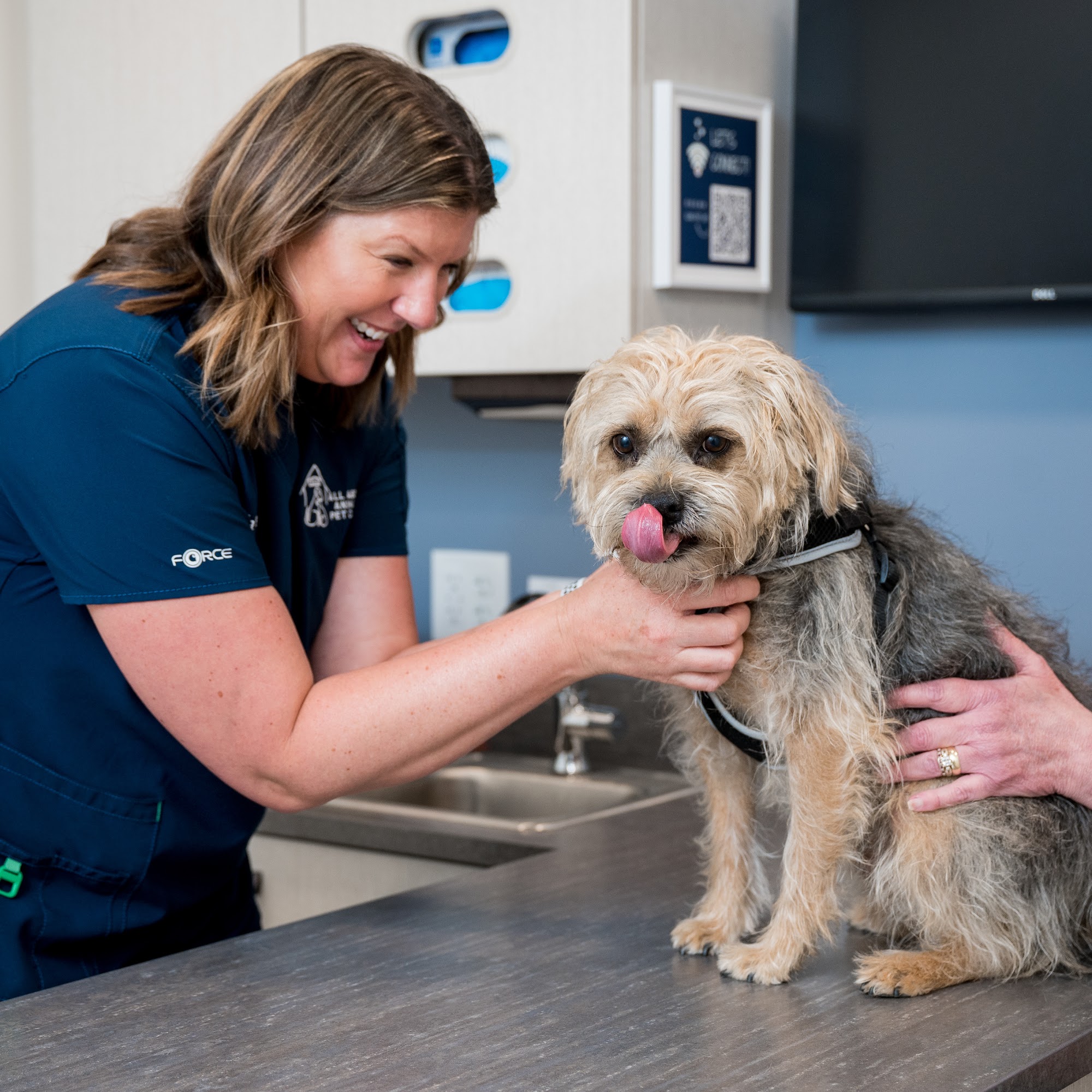 All About Animals Pet Clinic Mahomet
