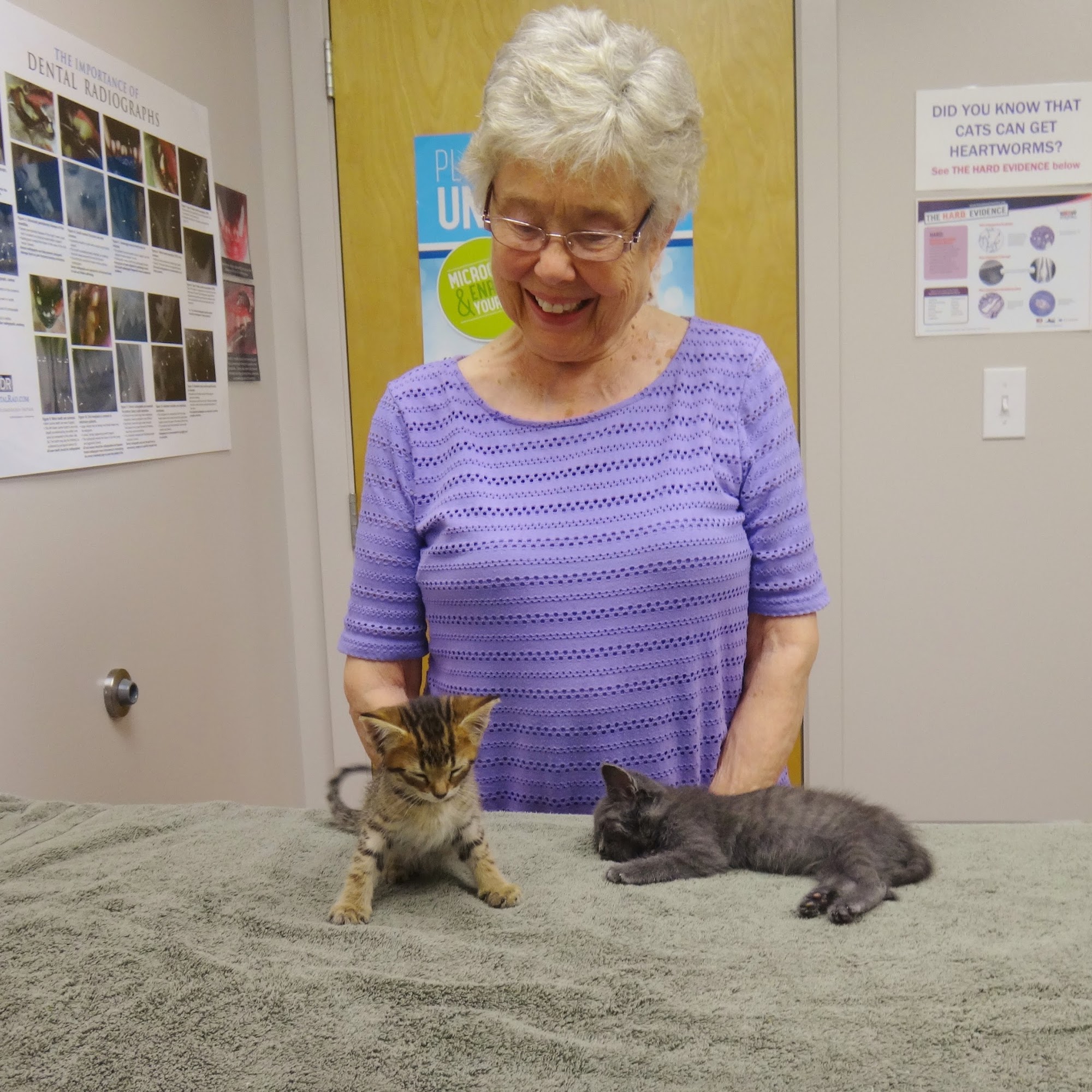 Mahomet Animal Hospital Mahomet