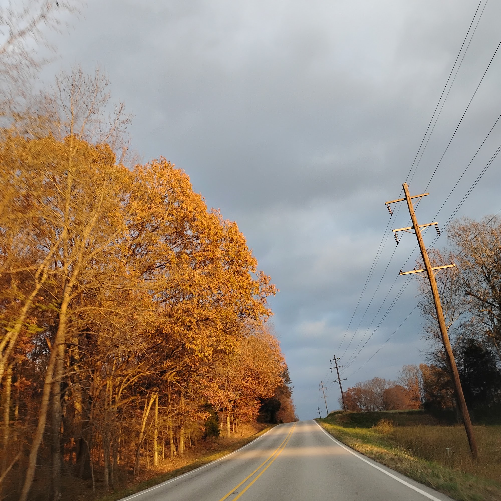 Scenic Landscape 499 Brian Dr, Manteno Illinois 60950