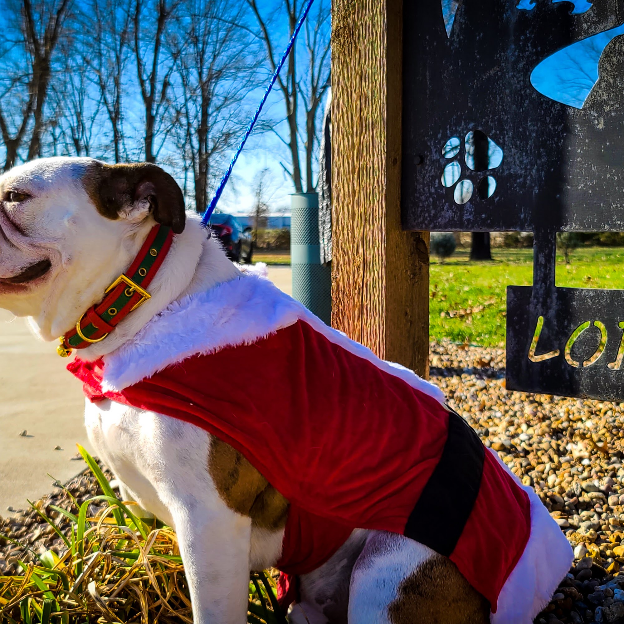 Great Paws Lodge & Day Camp Marion