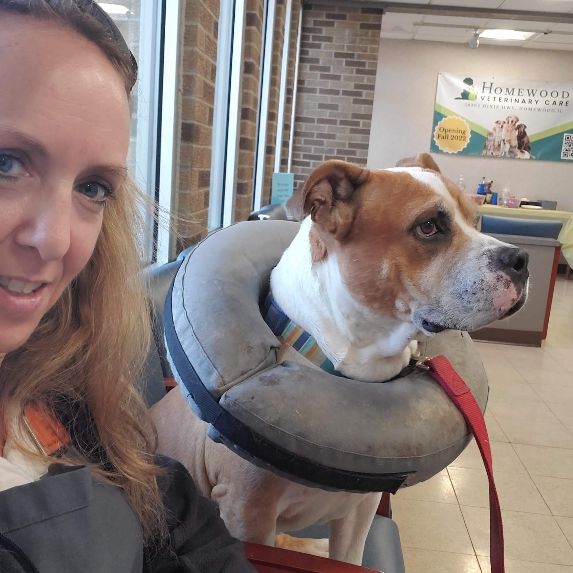 Homewood Veterinary Care Markham