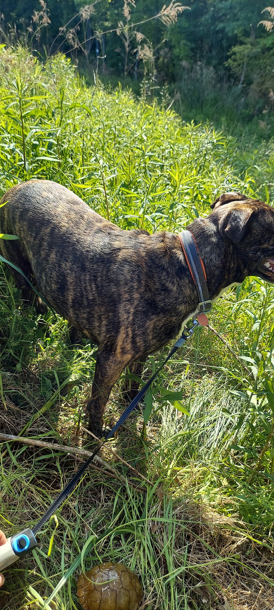 Animal Care Clinic Marshall