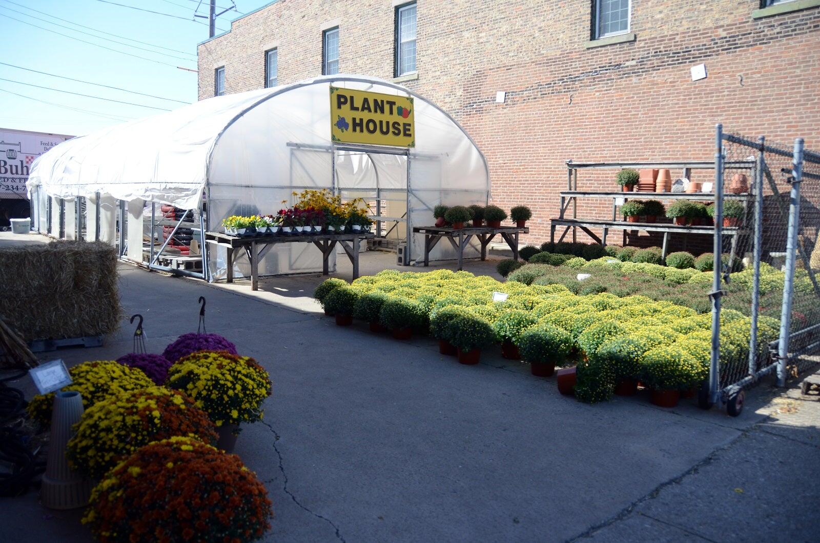 deBuhr's Seed & Feed Mattoon