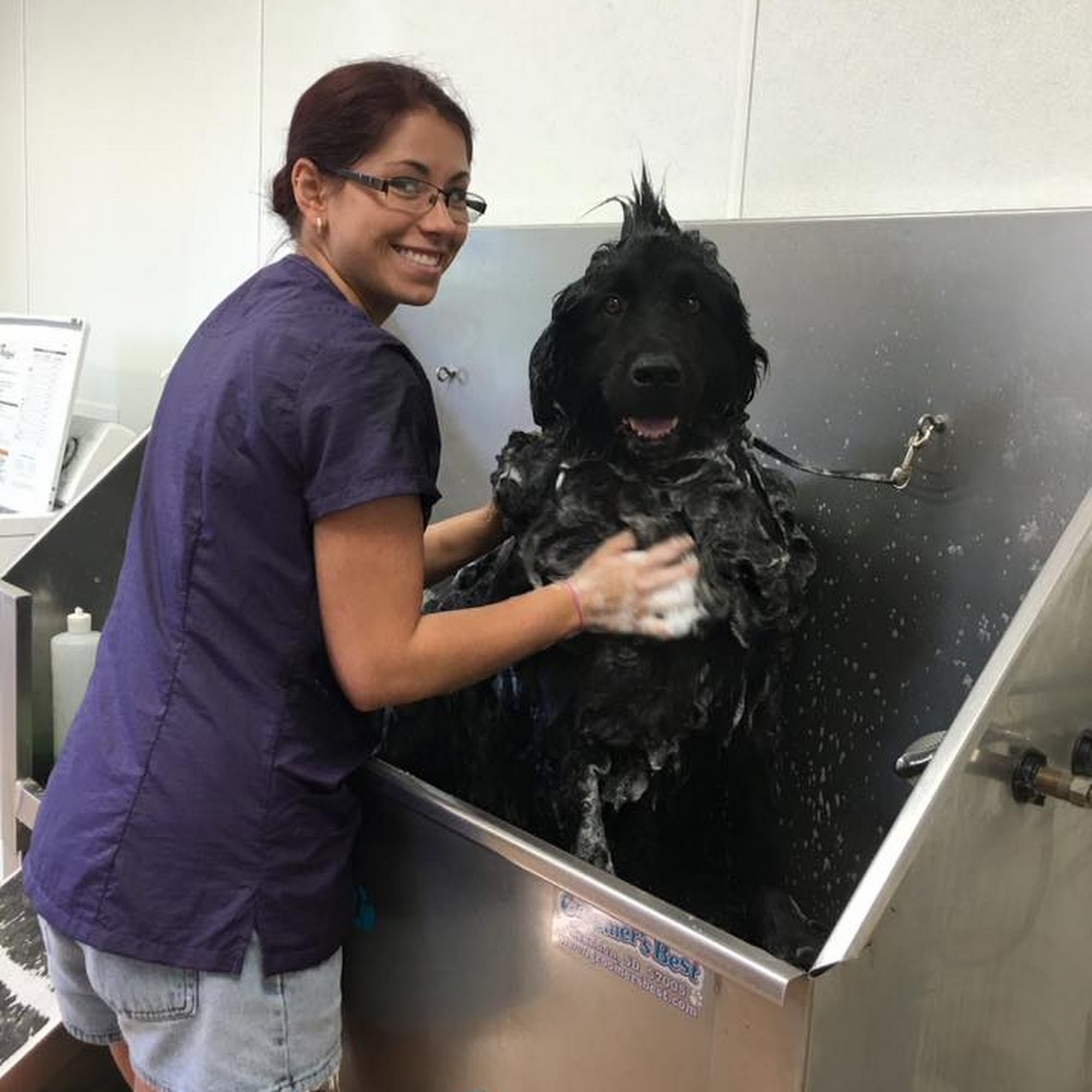 Albin Animal Hospital Mattoon Mattoon