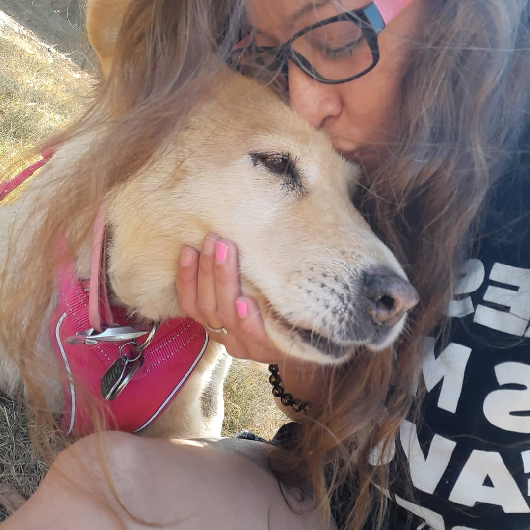 Wizard of Paws Dog Rescue