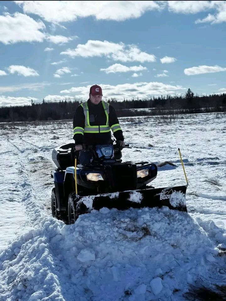 Frank's Lawn care and Snow Removal