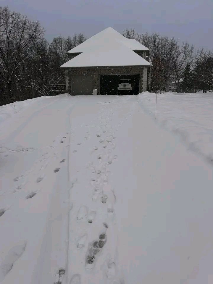 Frank's Lawn care and Snow Removal