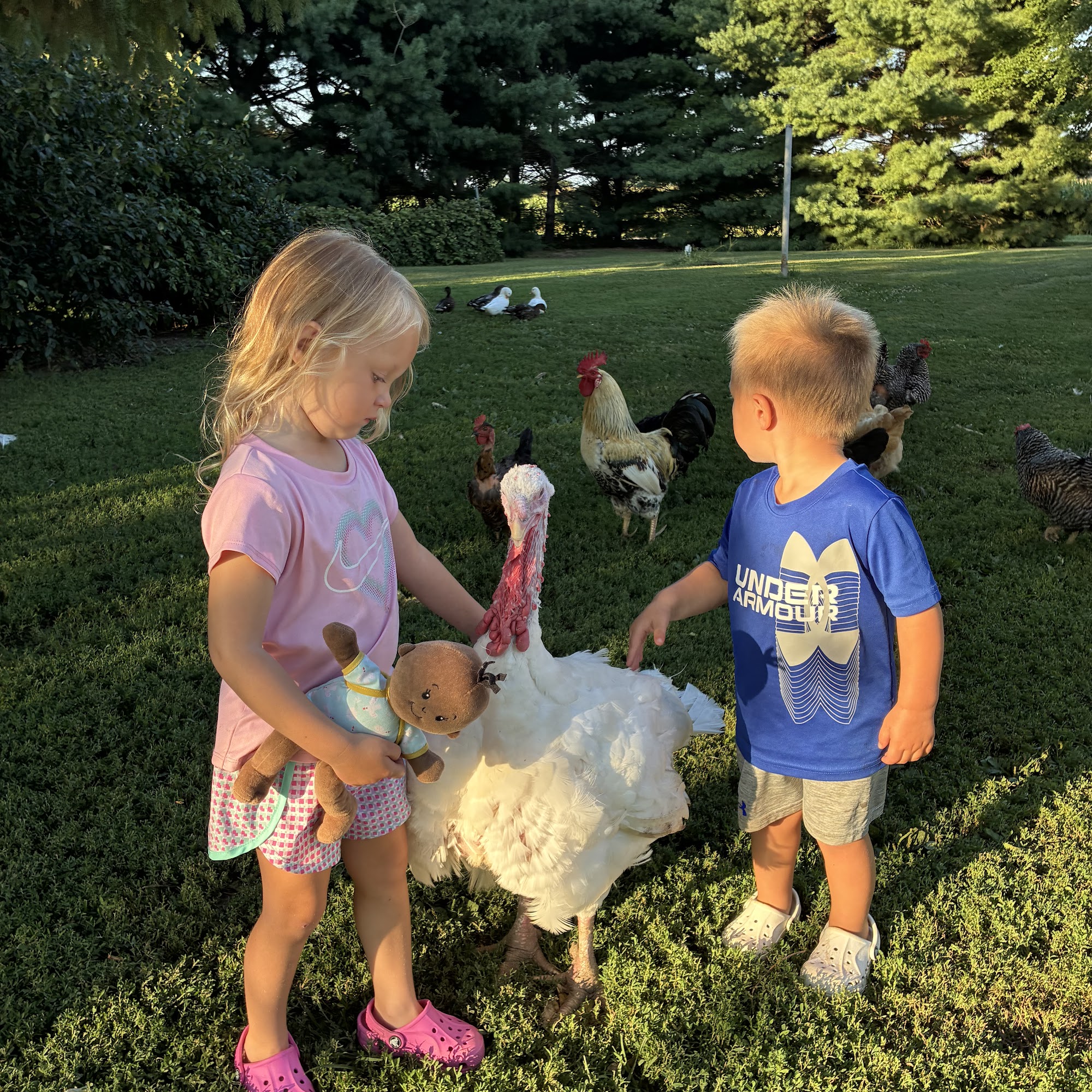 Overton’s Daily Feed & Seed Mattoon