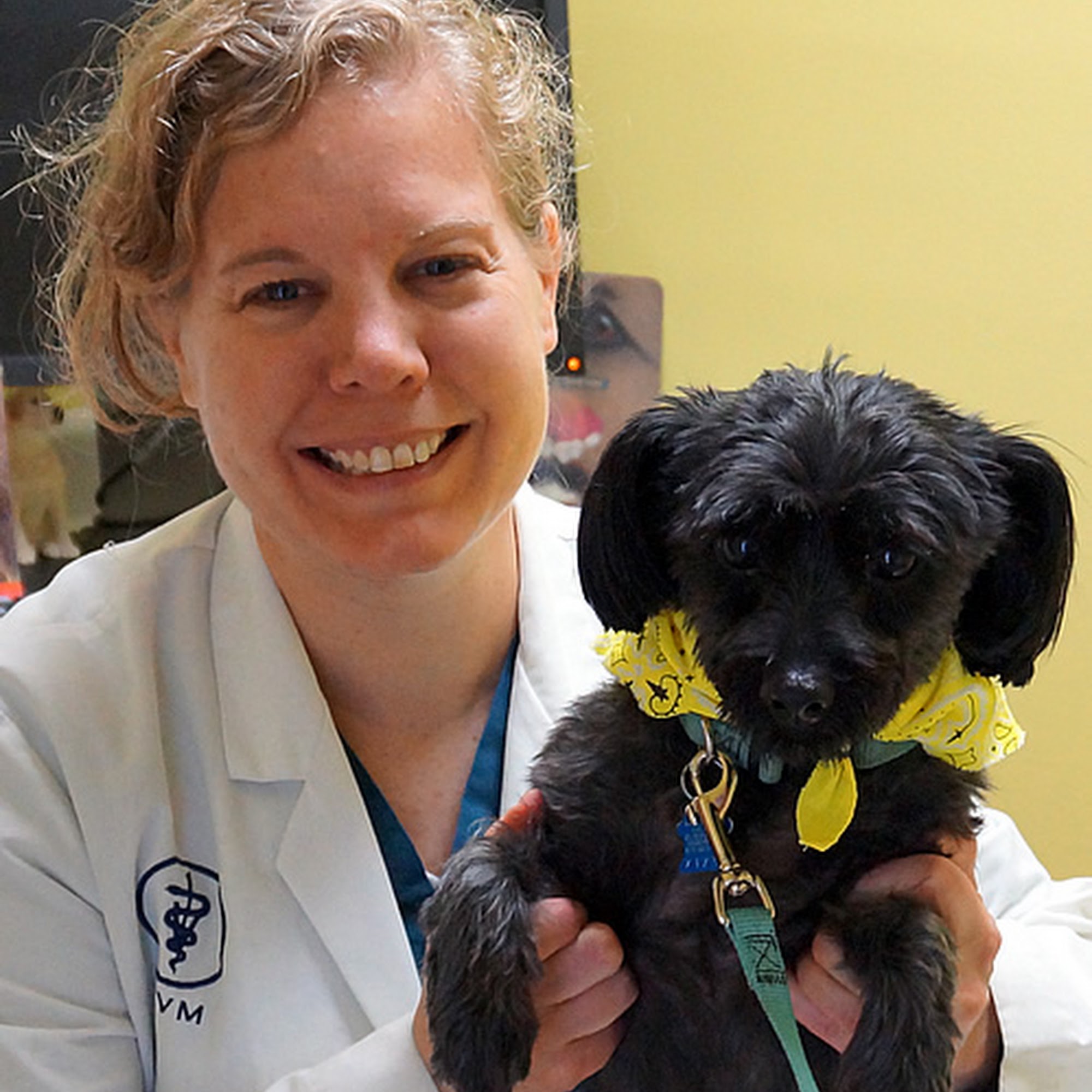 Animal Hospital of McHenry McHenry