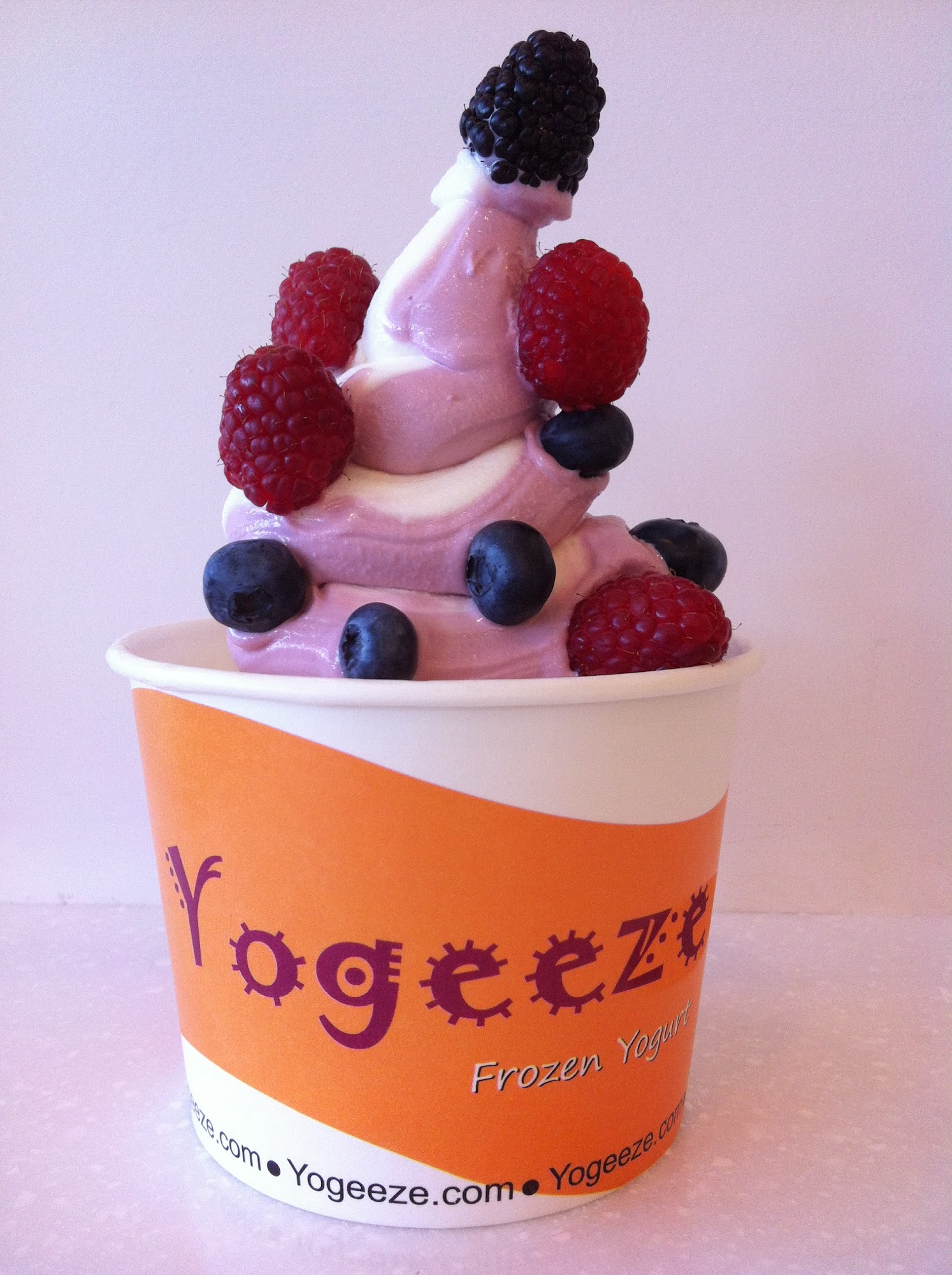 Yogeeze Frozen Yogurt Menu