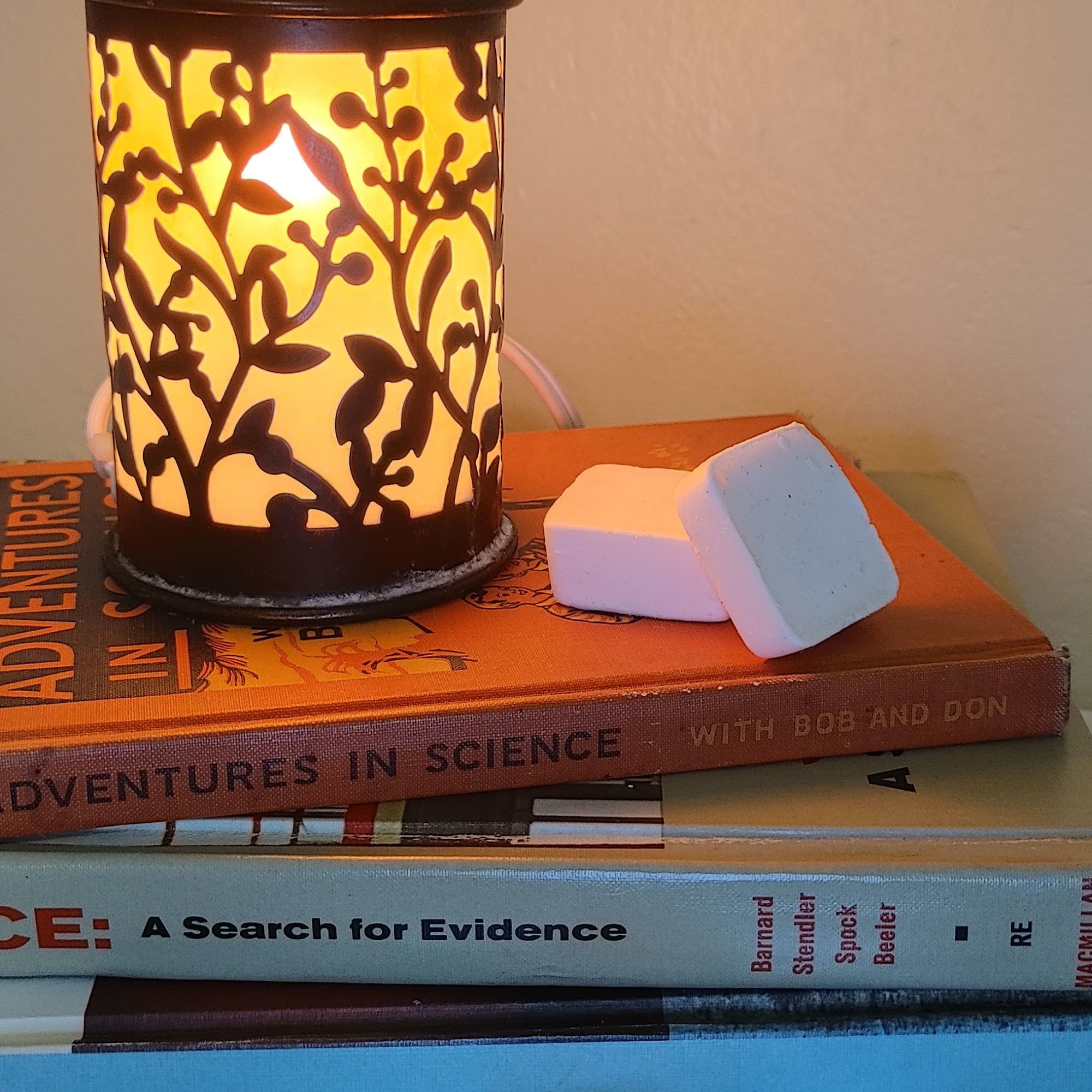 Mad Soyentist Candle Company 3430 W Elm St, McHenry Illinois 60050