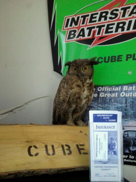 Lube Cube Mendota