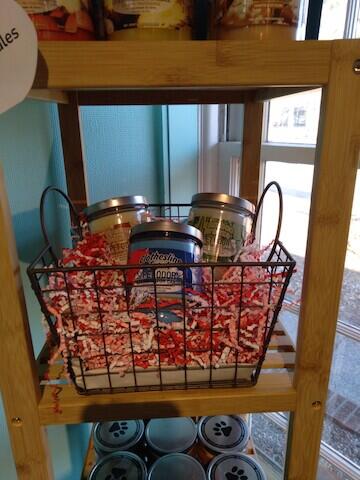 Beagle's Bay Animal Hospital Metropolis