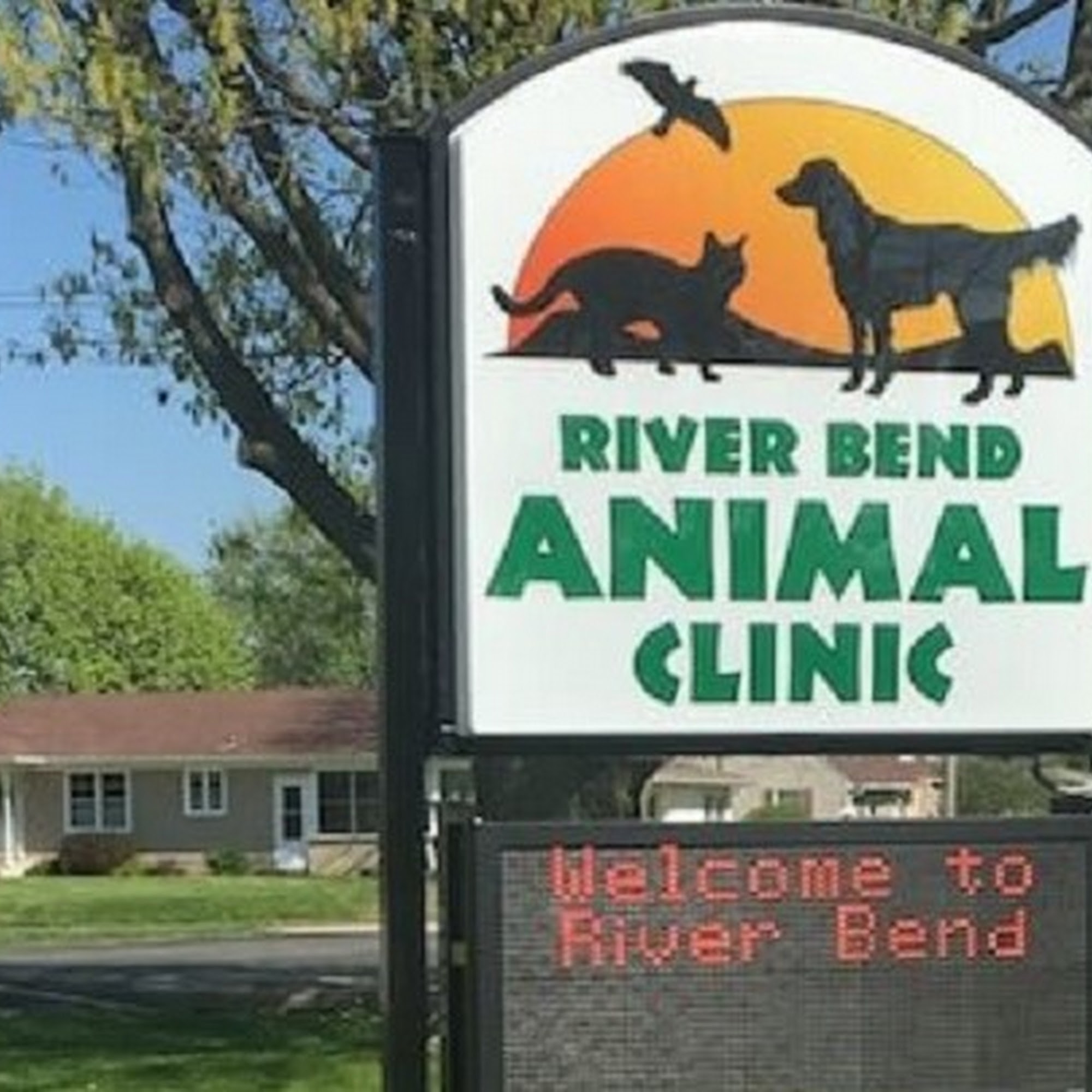 River Bend Animal Clinic PC Moline