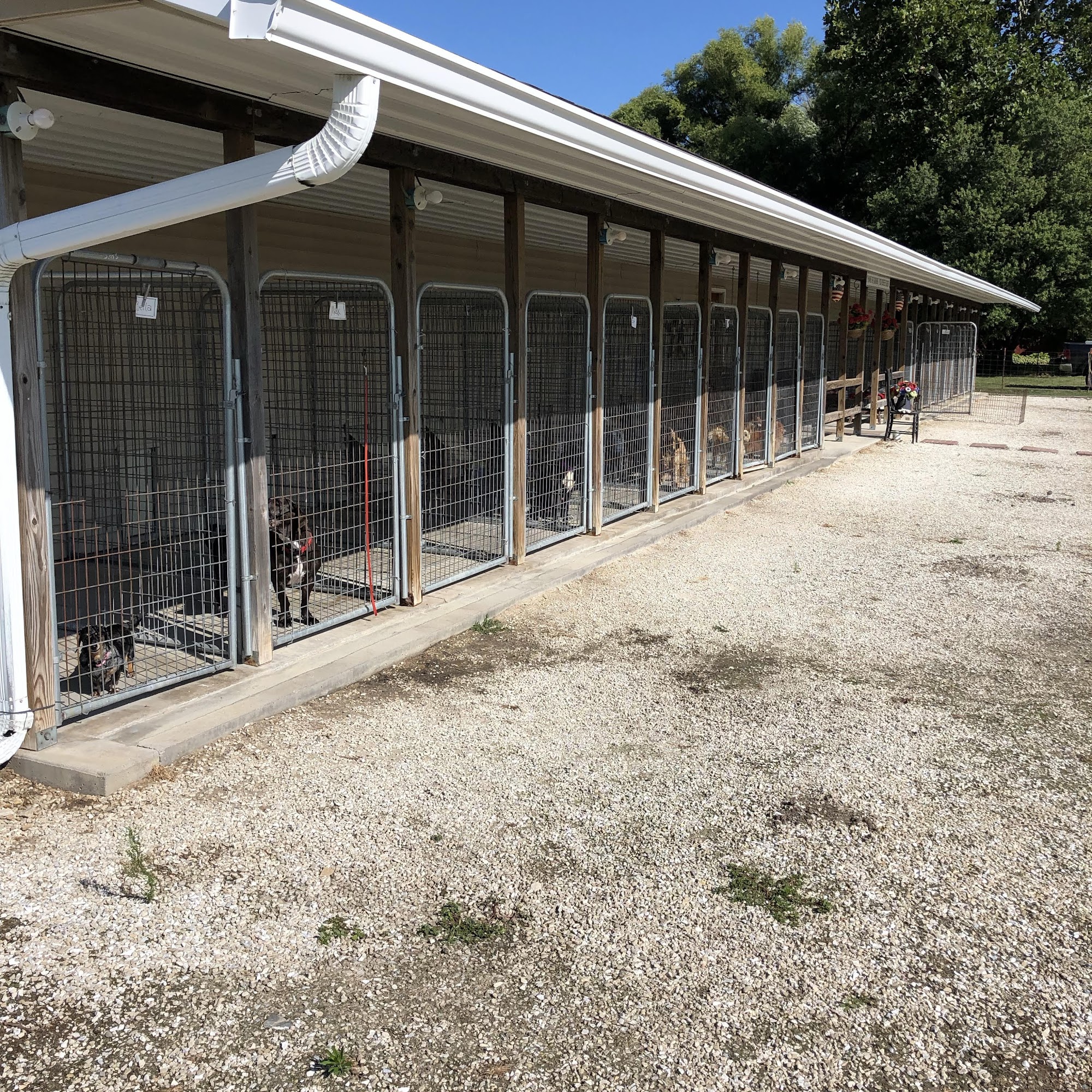 Cedar Creek Kennels LLC 2186 106th St, Monmouth Illinois 61462