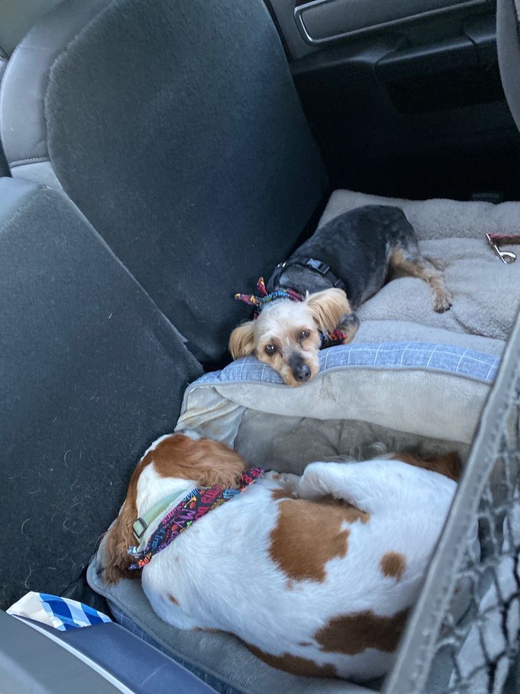Loves by Rockford Airport