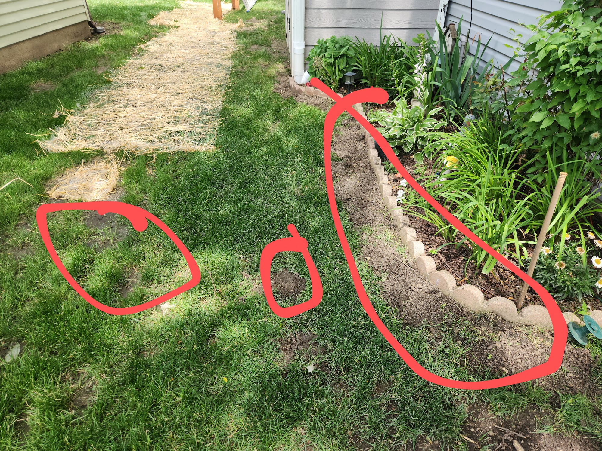 Paris Landscaping