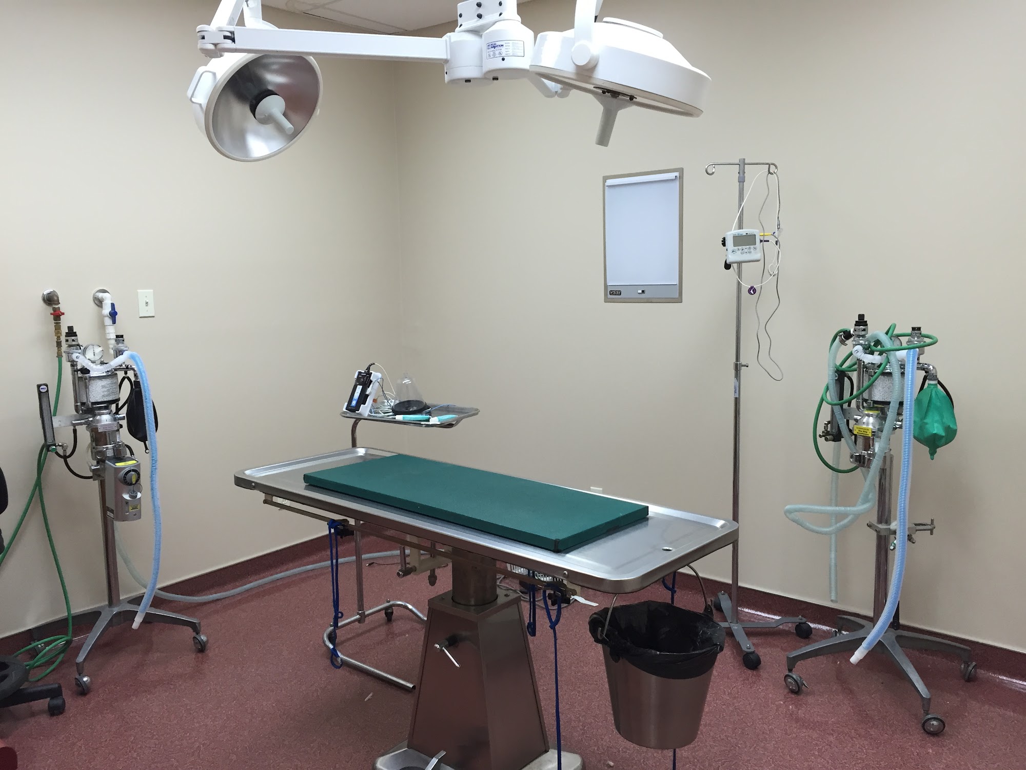 Animal Hospital of Monticello Monticello