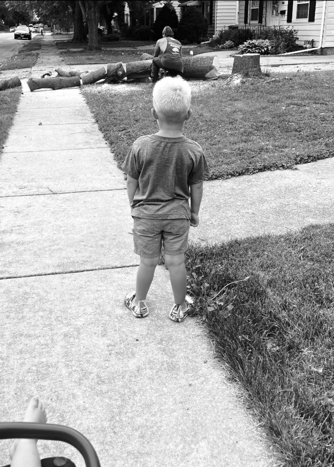 Grogan Tree Services and Mulch