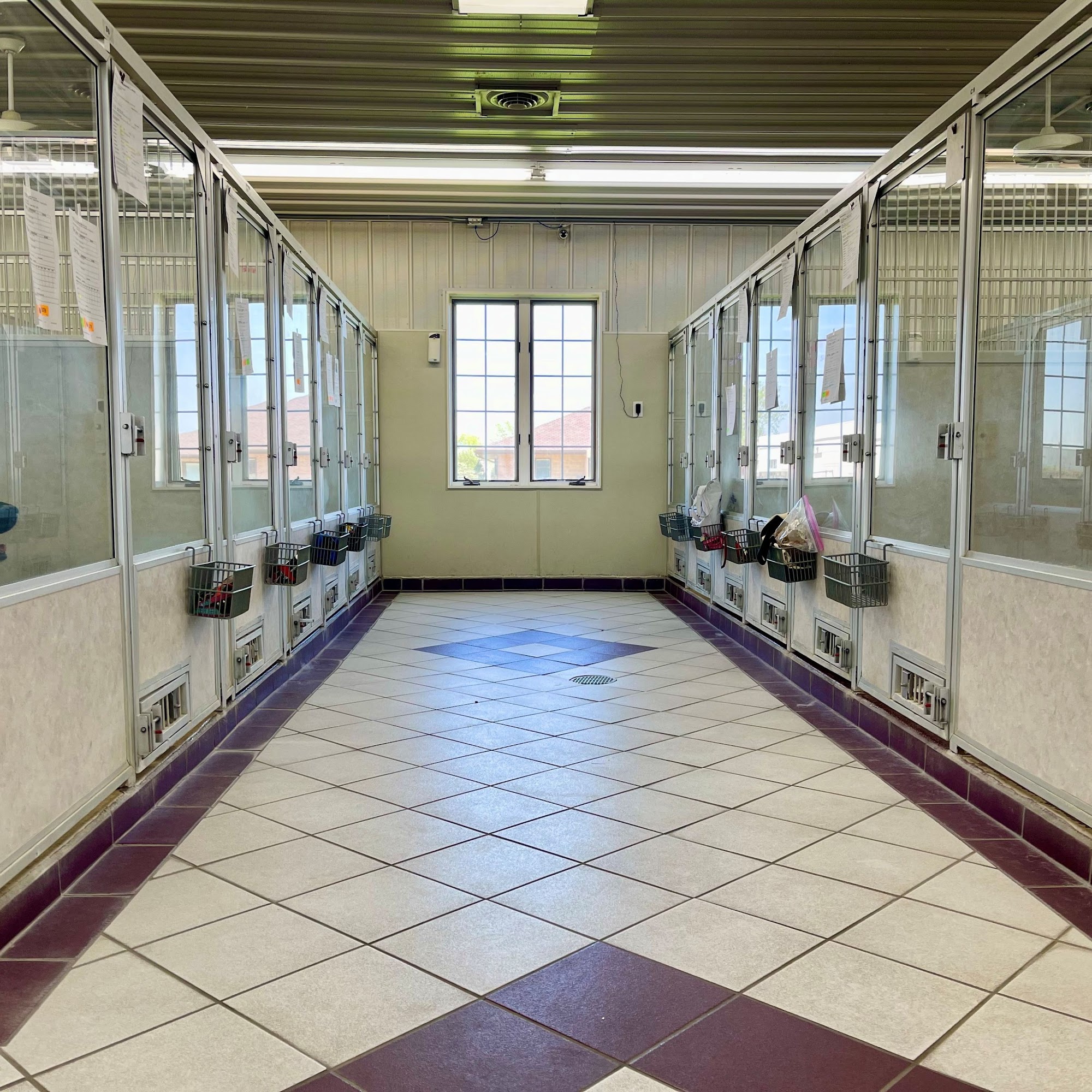 Tender Care Animal Hospital Morton