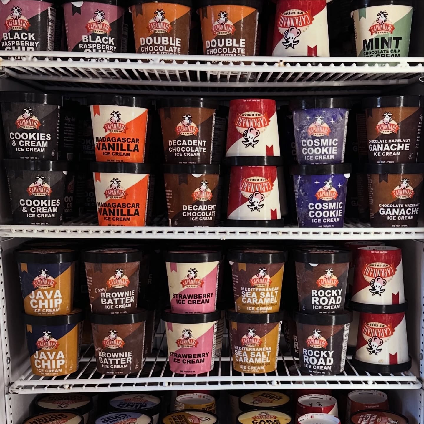 Capannari Ice Cream Offices and Warehouse Mount Prospect