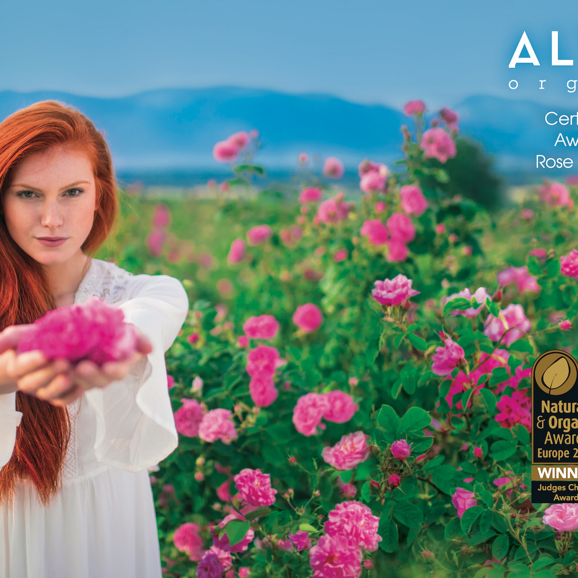 Alteya Inc Mount Prospect