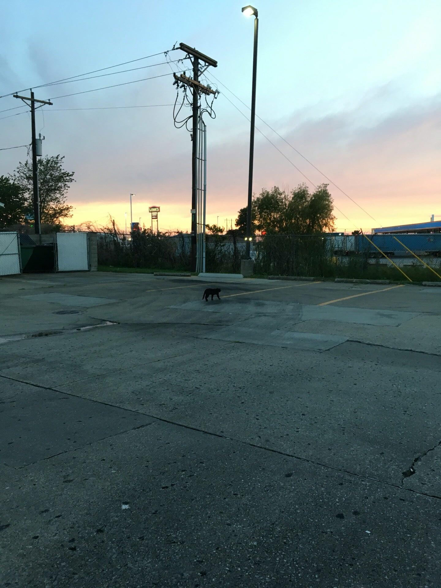 Photo credit: nextdoor