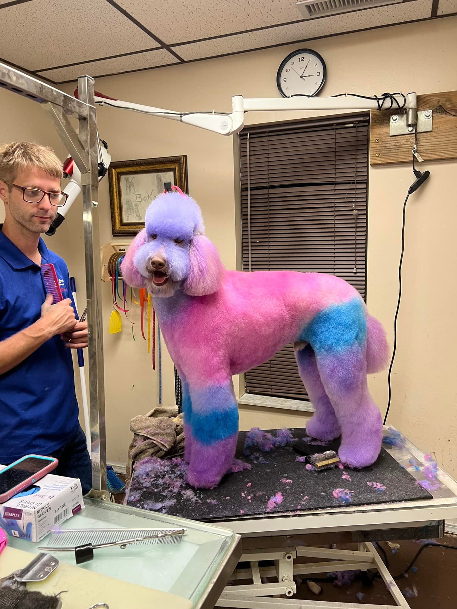 Poodles To Hounds, LLC Mount Vernon