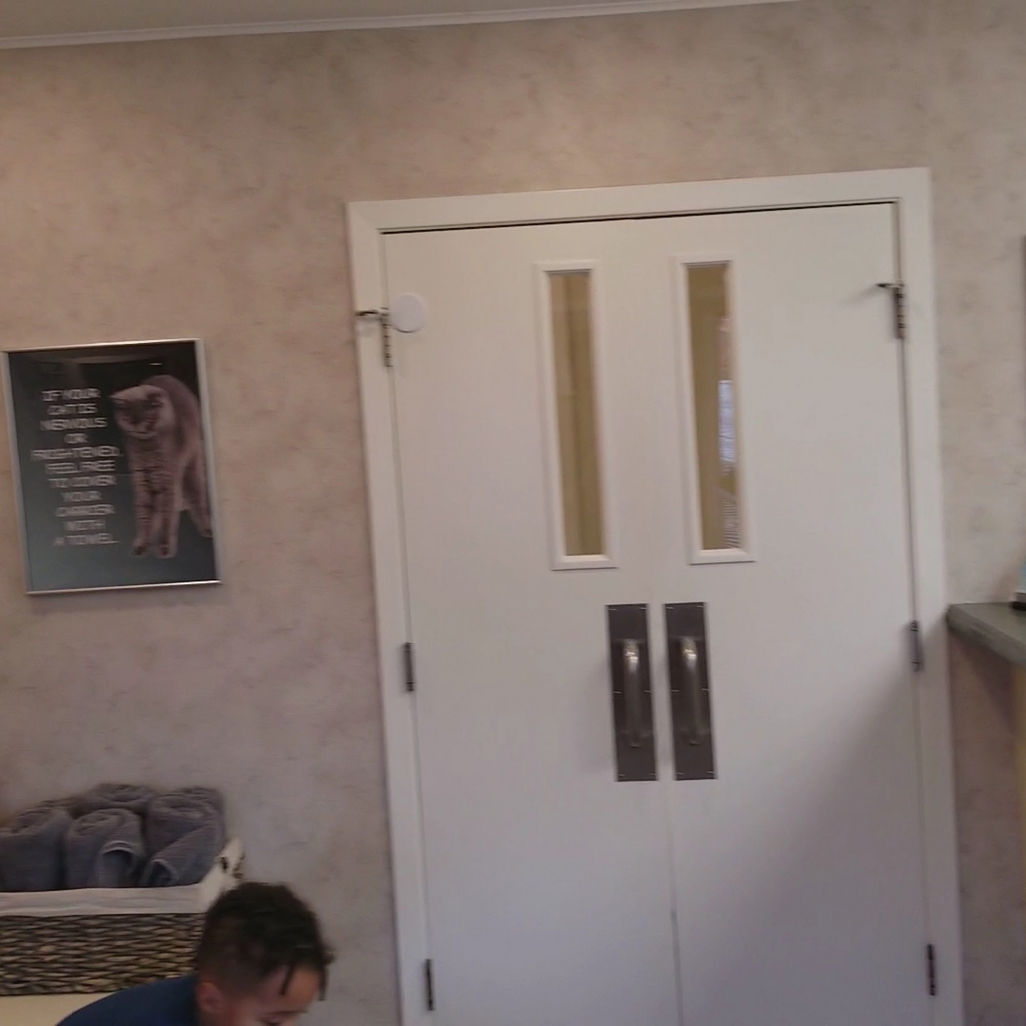 Vernon Hills Animal Hospital Mundelein