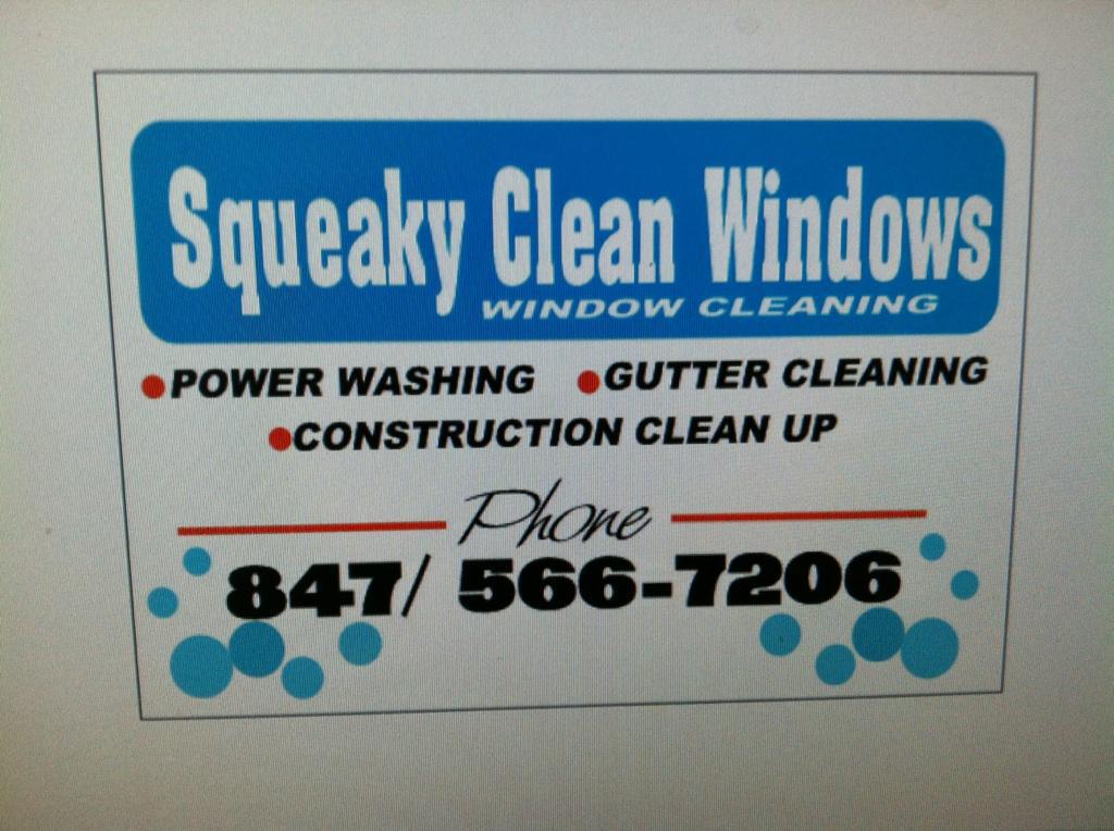 Squeaky Clean Windows