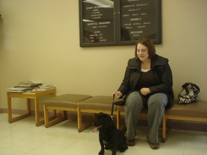 VCA Naper Ridge Animal Hospital Naperville