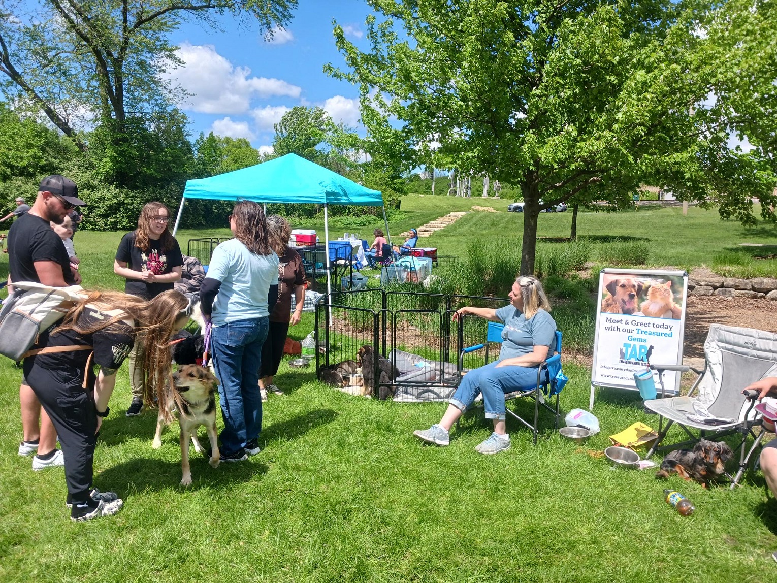 VCA Boulder Terrace Animal Hospital Naperville