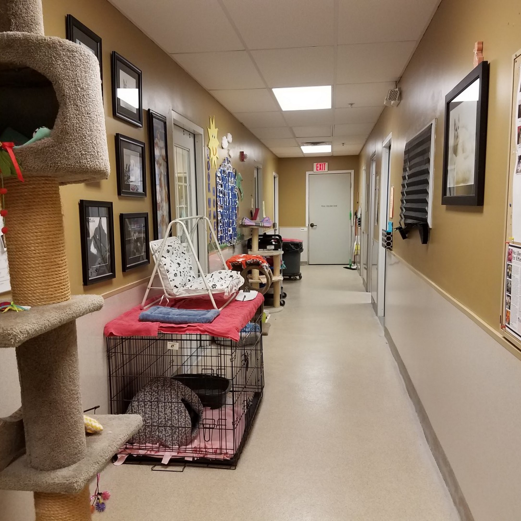 A.D.O.P.T. Pet Shelter Naperville