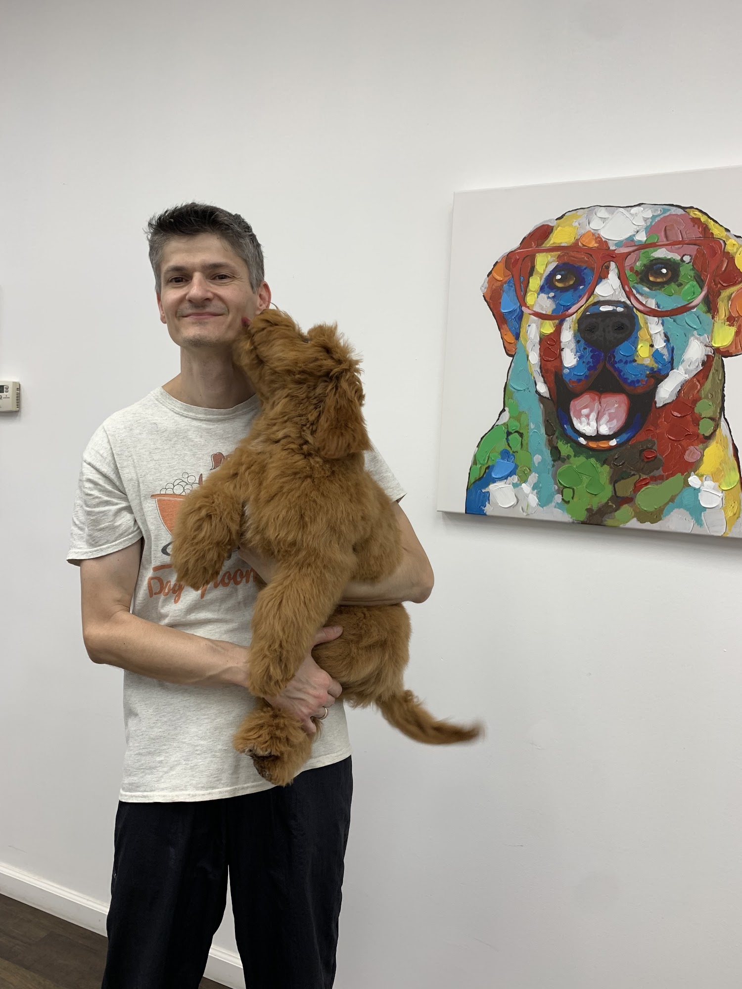 PN Dog Grooming Naperville