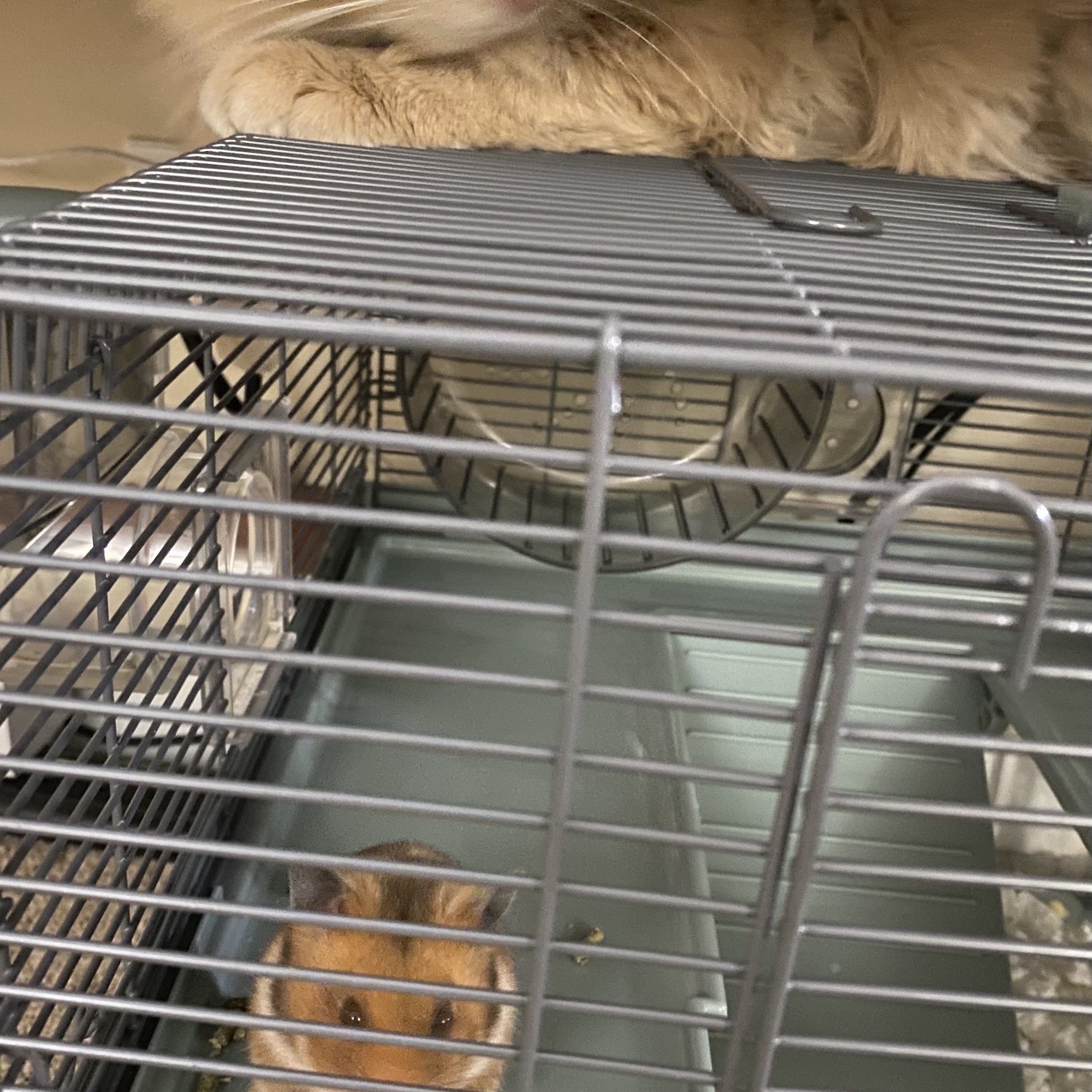 Pet Supplies Plus North Naperville Naperville