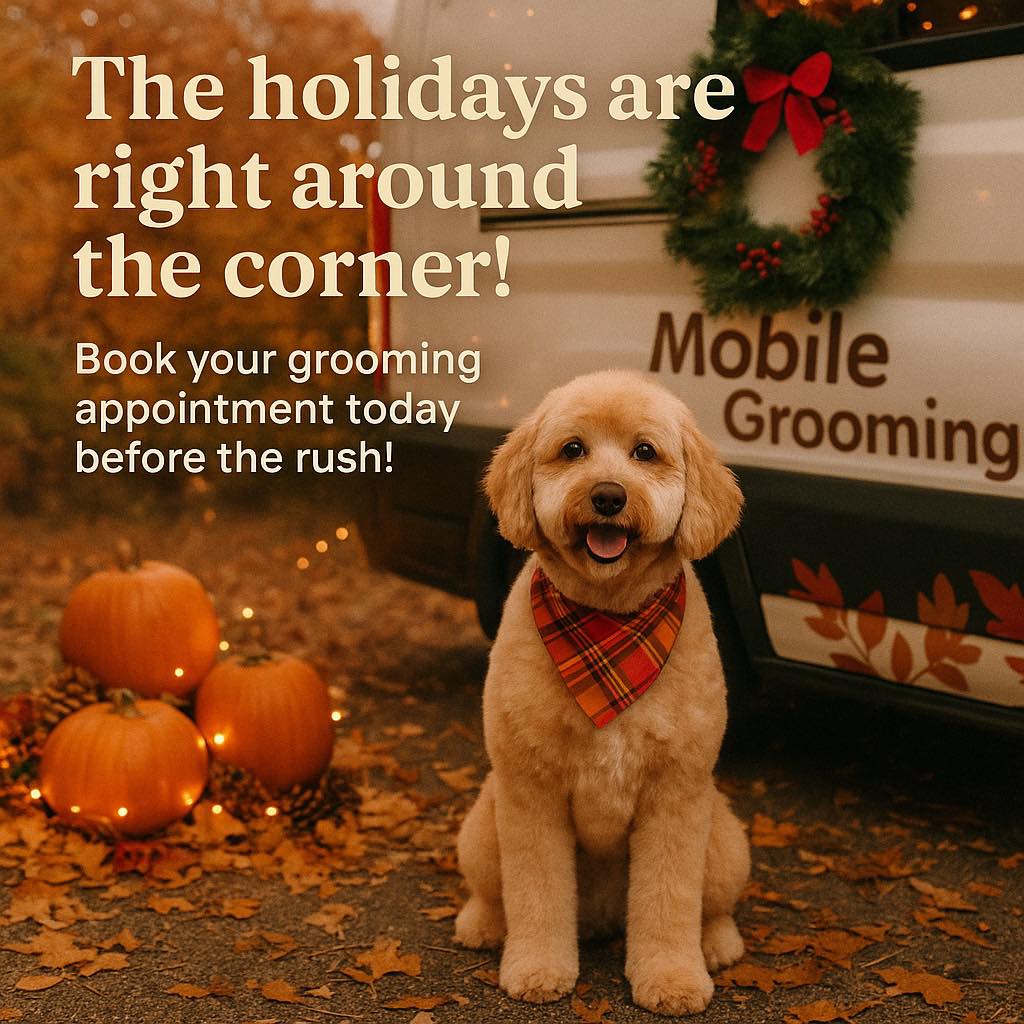Wiggle Butts Mobile Dog Grooming Naperville