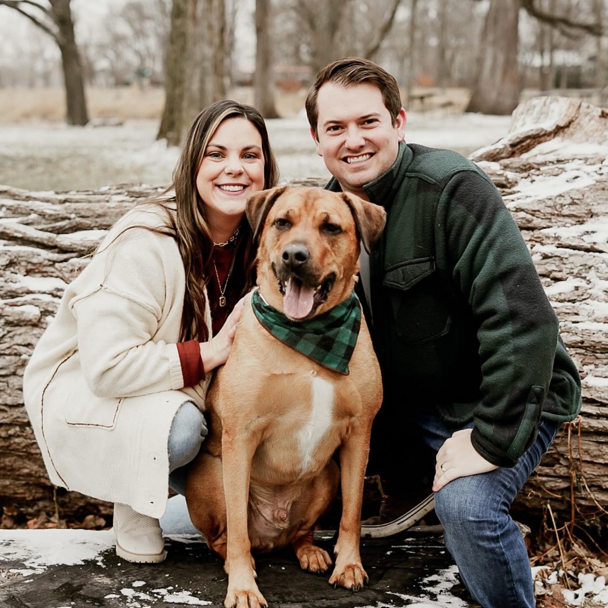 Pet Wants Naperville Plus Grooming Naperville