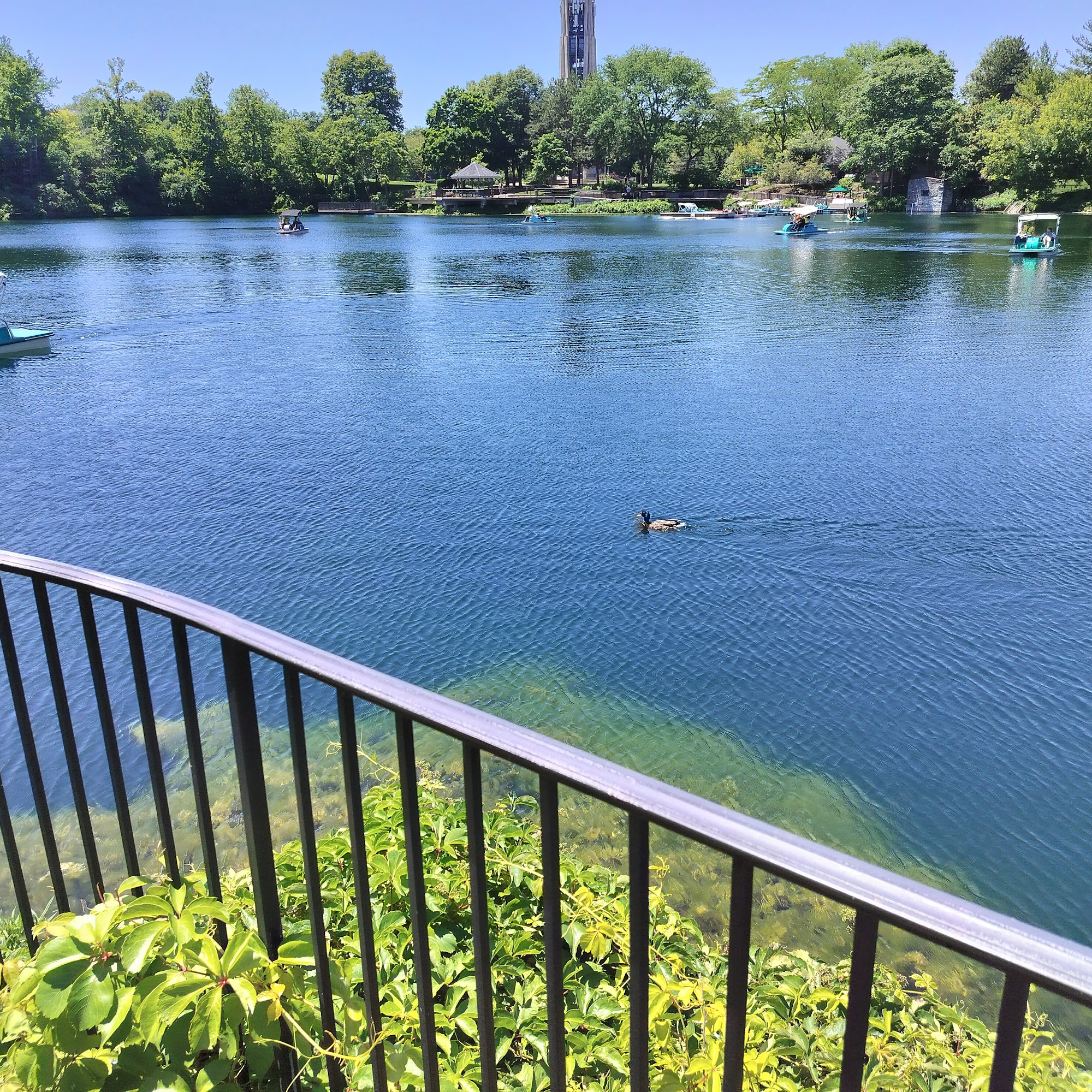 Alfred Rubin Riverwalk Community Center Naperville
