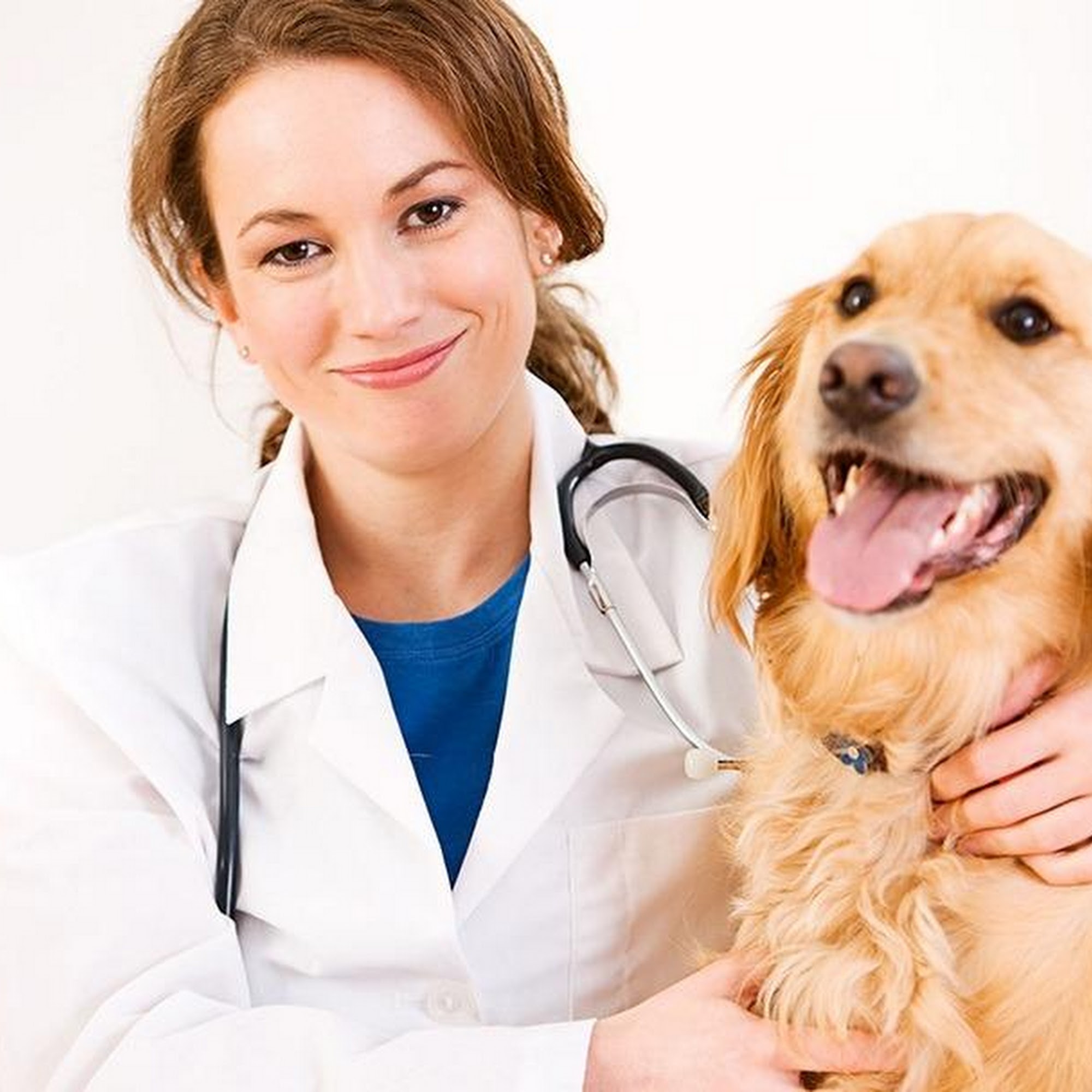 Newton Veterinary Clinic Newton